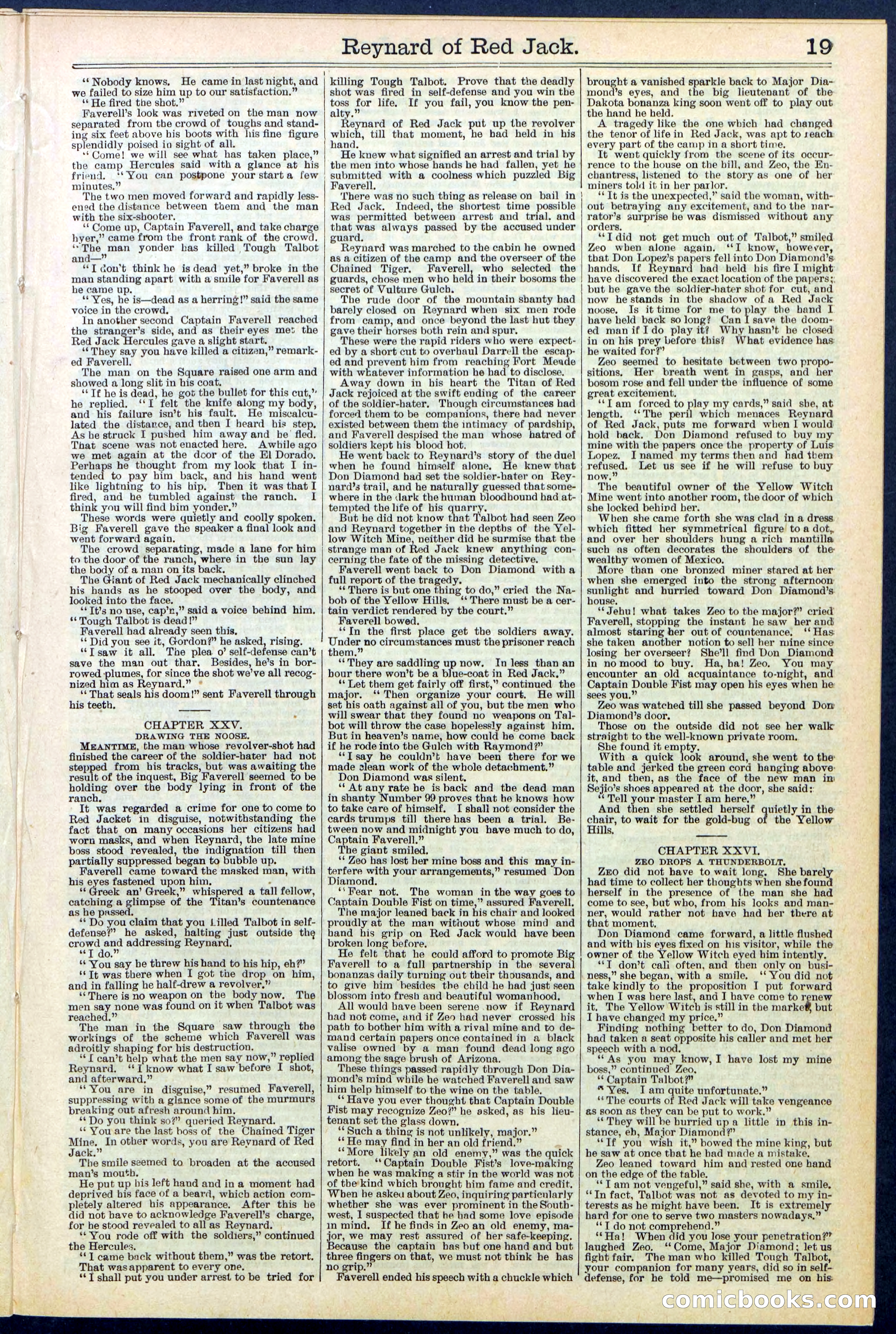 Beadle's New York Dime Library No. 523 — page 19 of 32