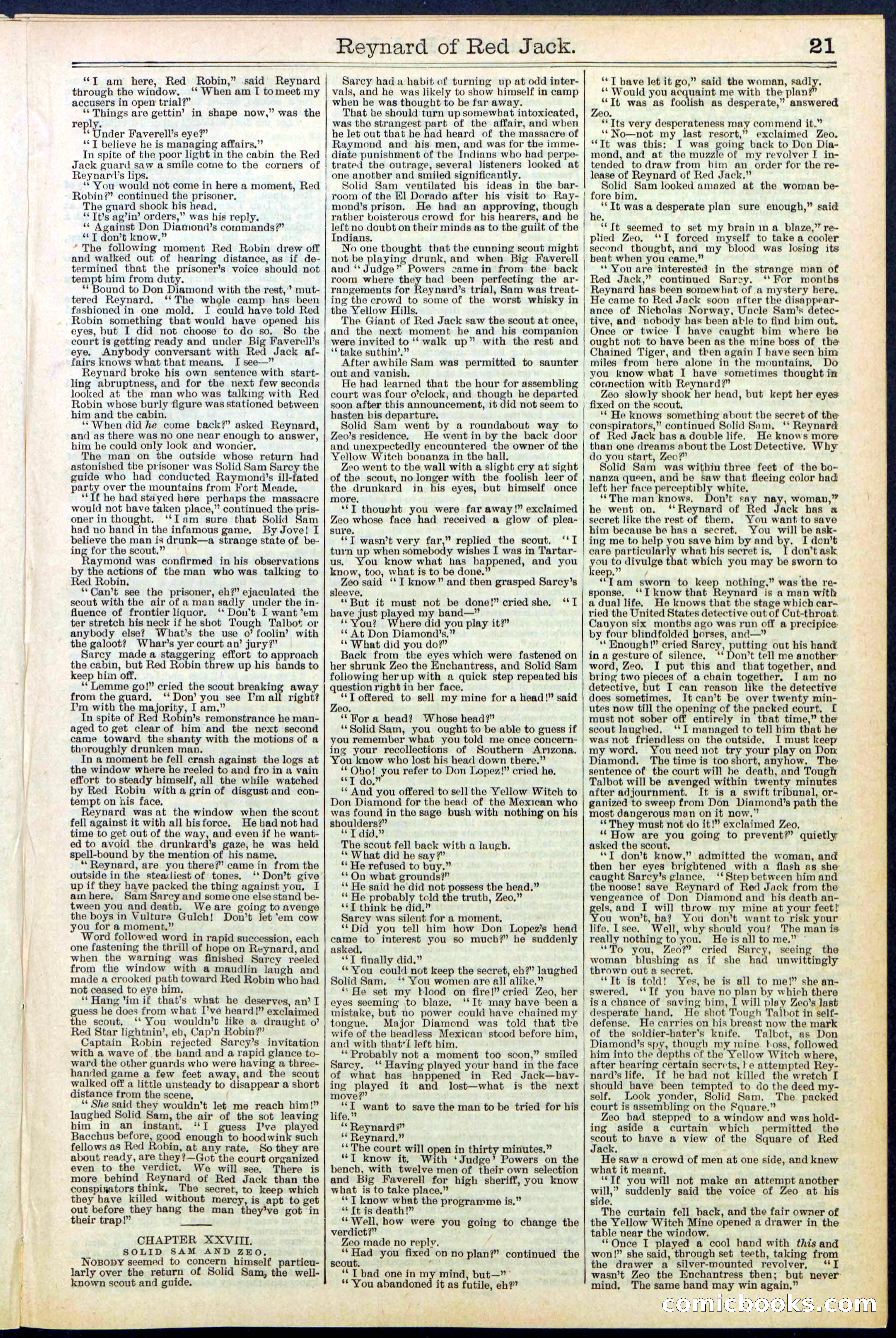 Beadle's New York Dime Library No. 523 — page 21 of 32