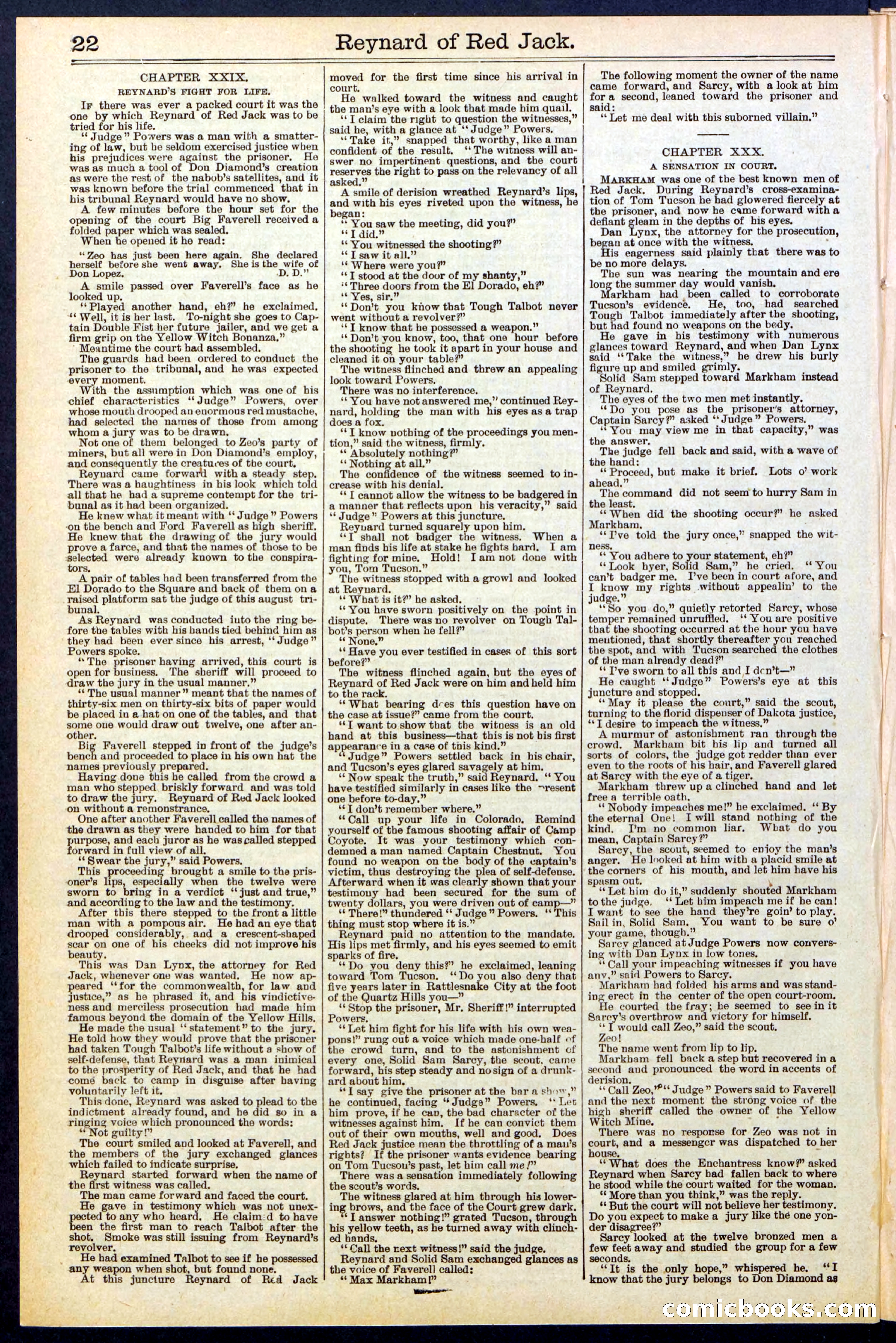Beadle's New York Dime Library No. 523 — page 22 of 32