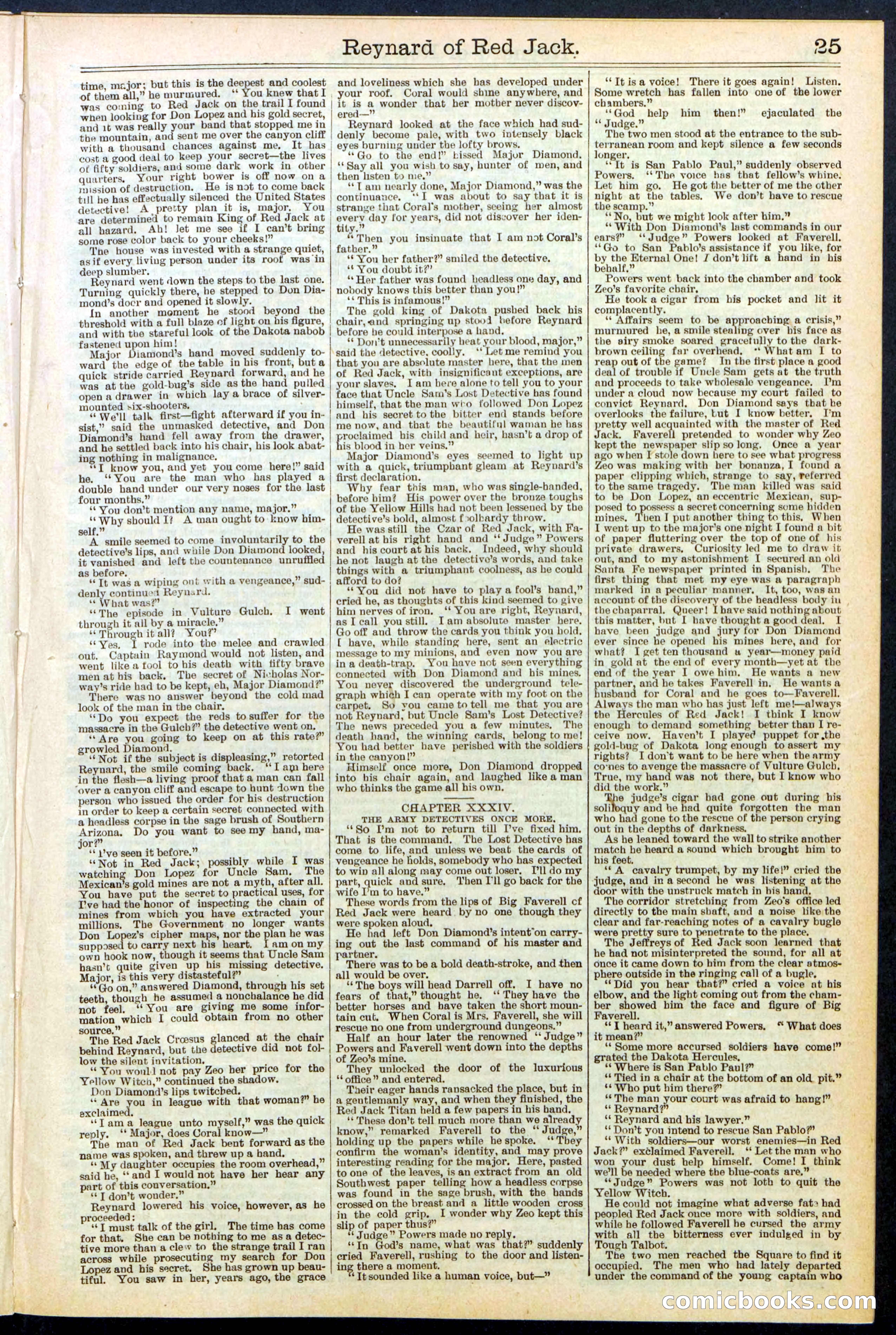 Beadle's New York Dime Library No. 523 — page 25 of 32