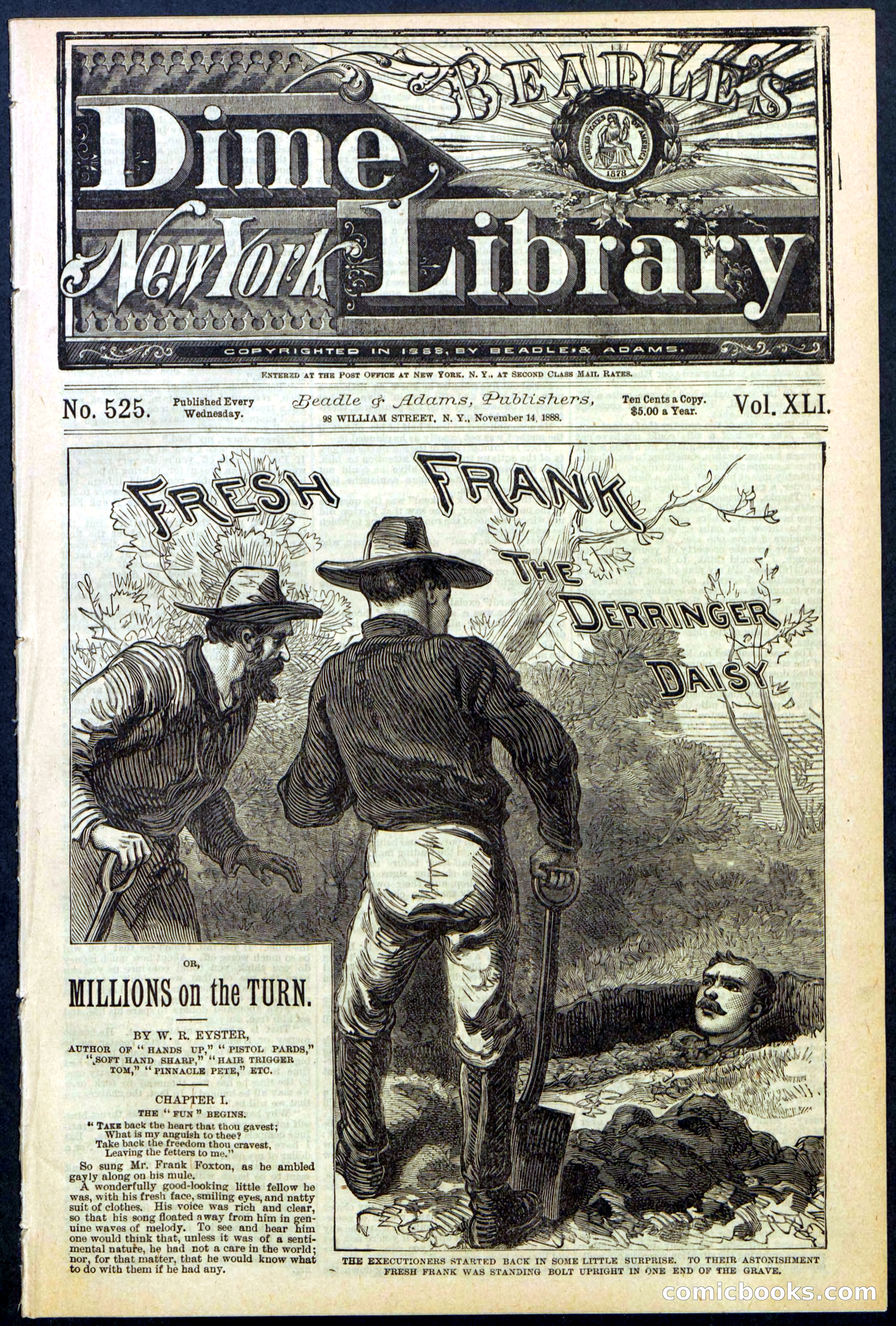 Beadle's New York Dime Library No. 525 — page 1 of 32