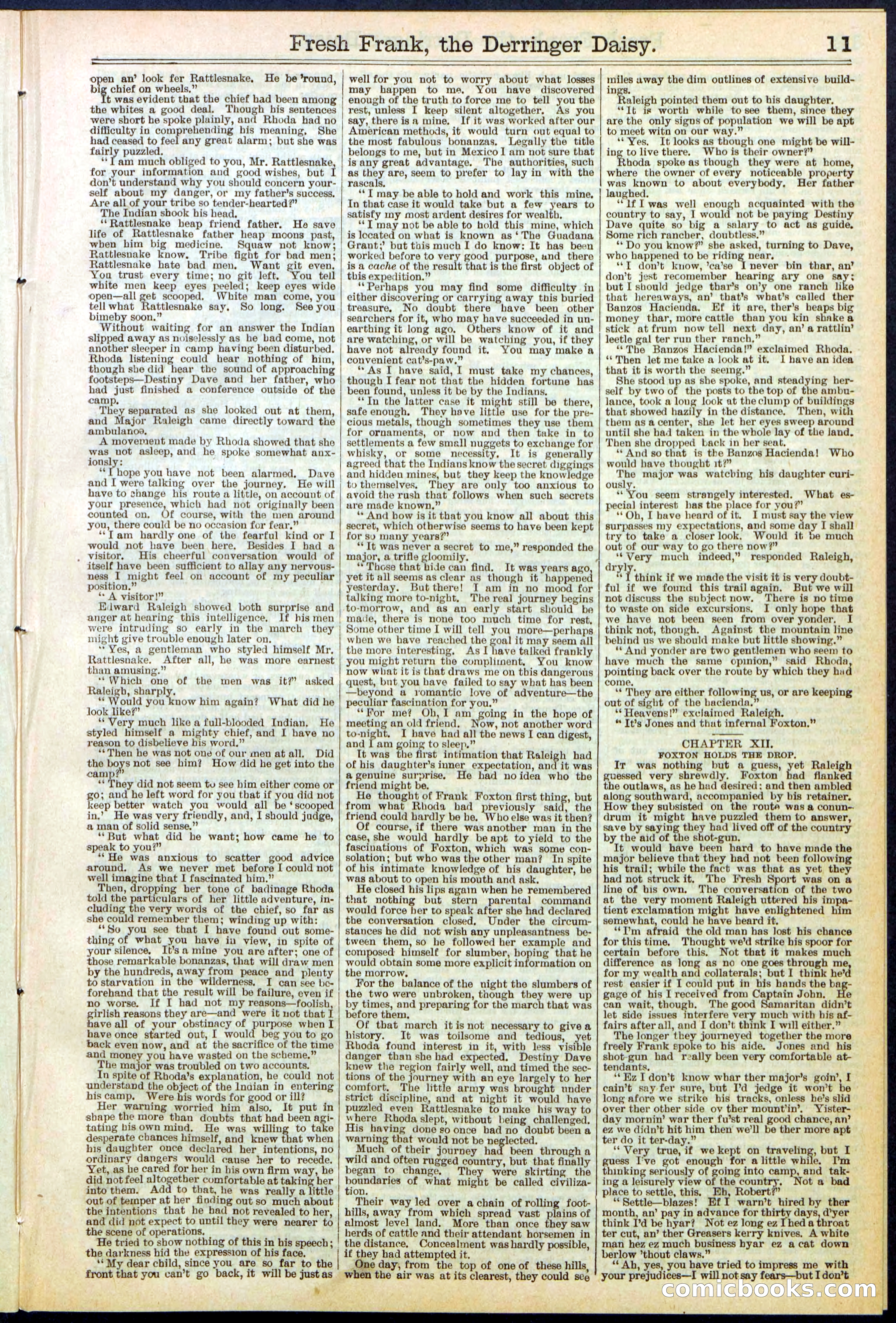 Beadle's New York Dime Library No. 525 — page 11 of 32
