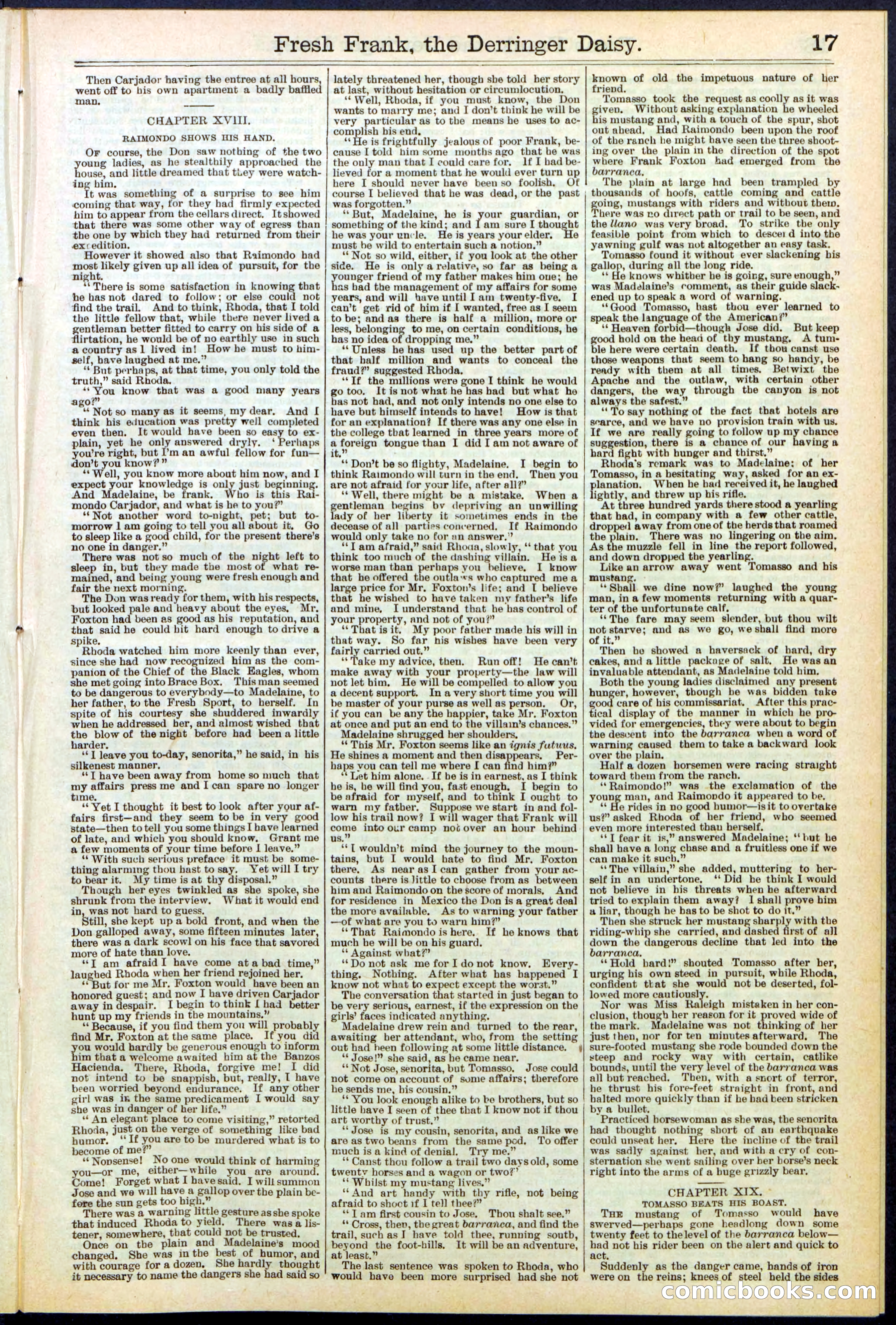 Beadle's New York Dime Library No. 525 — page 17 of 32