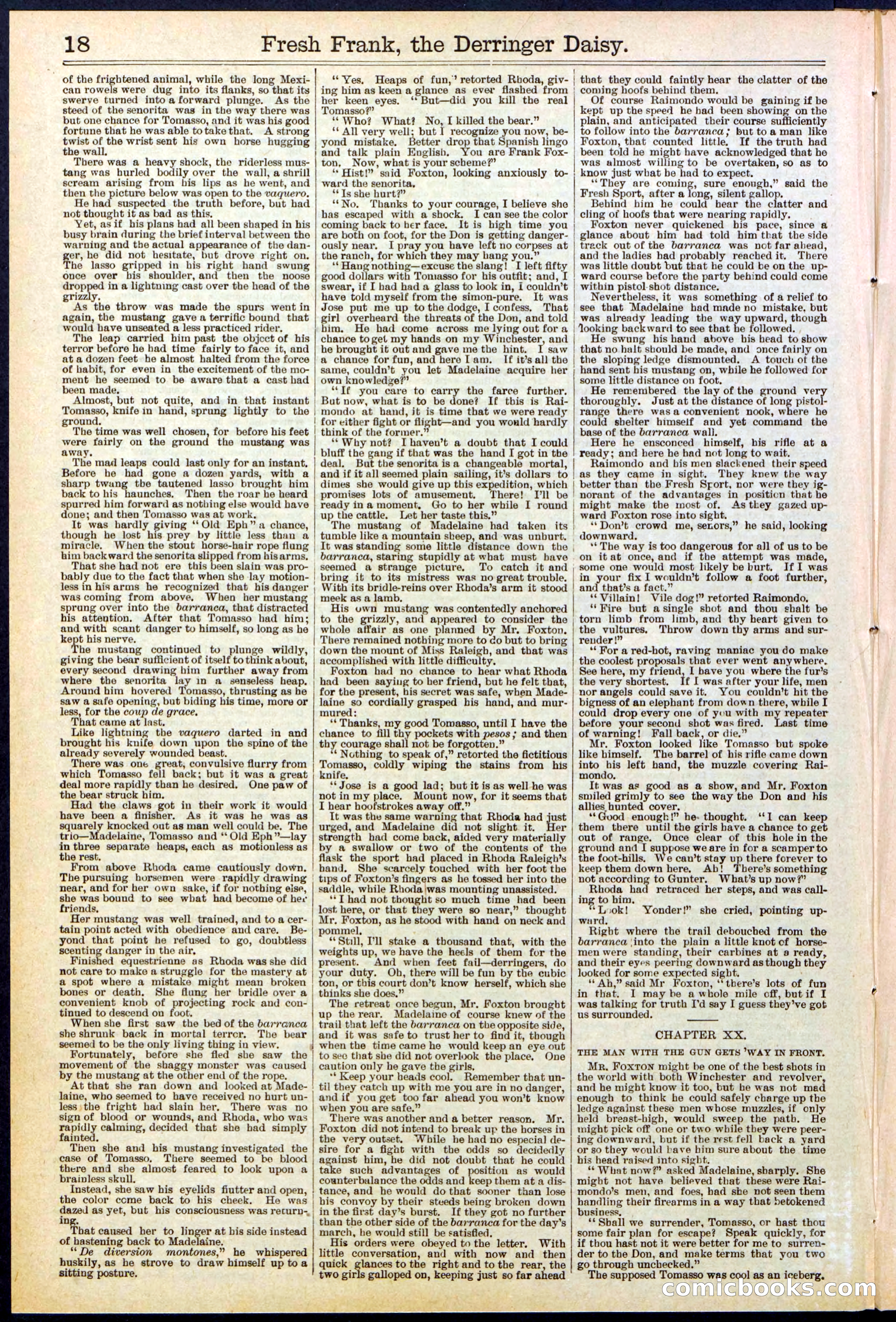 Beadle's New York Dime Library No. 525 — page 18 of 32