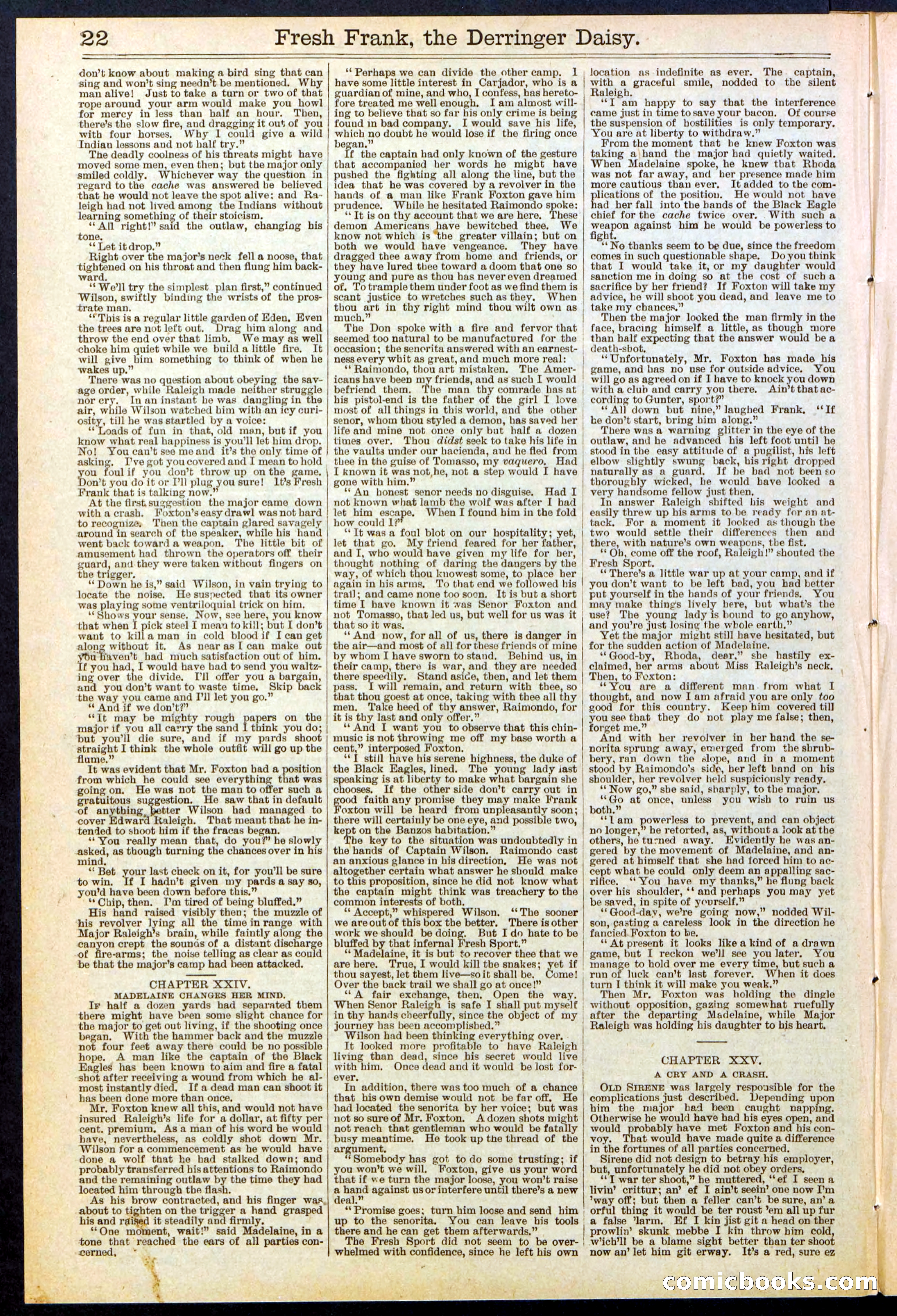 Beadle's New York Dime Library No. 525 — page 22 of 32
