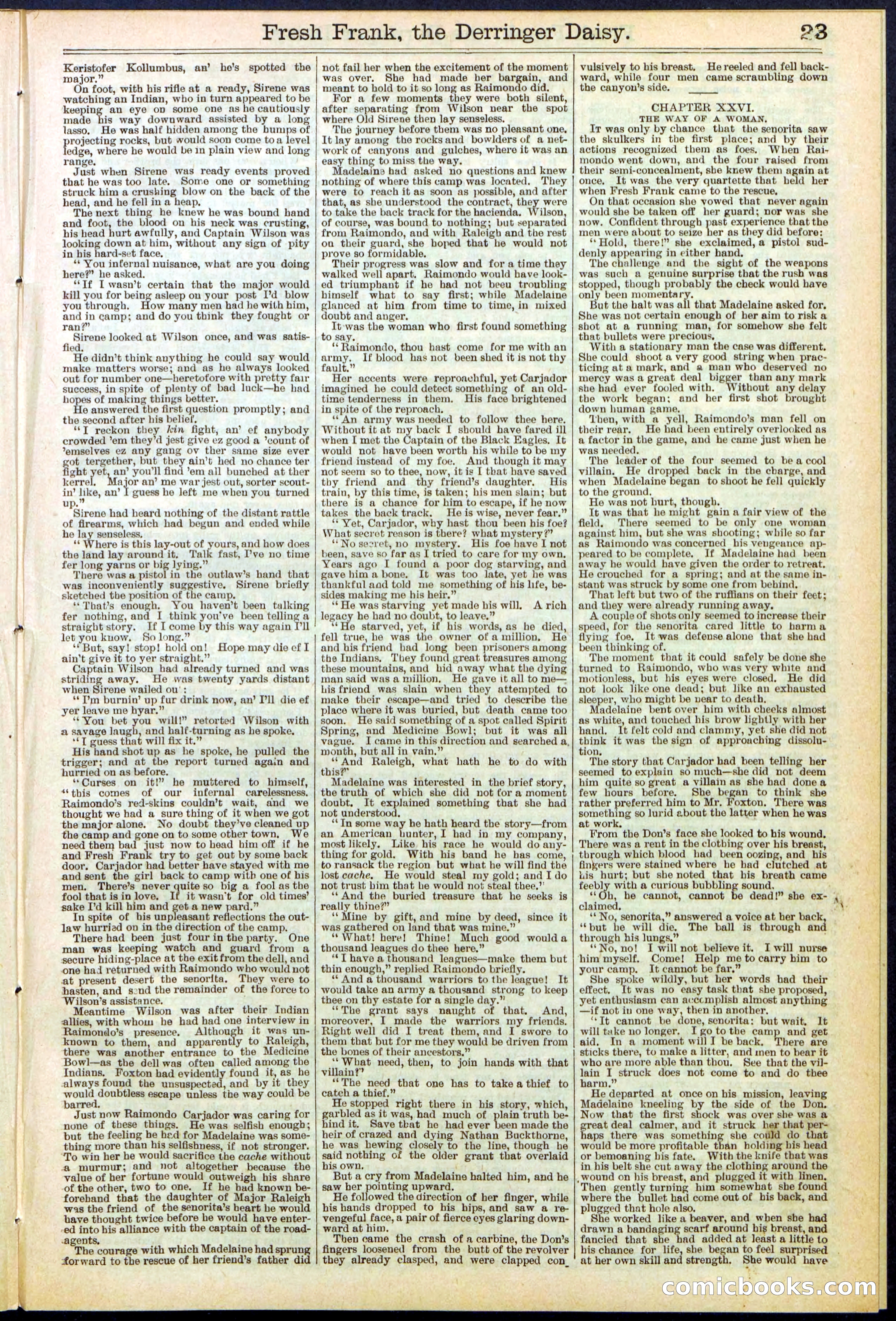 Beadle's New York Dime Library No. 525 — page 23 of 32