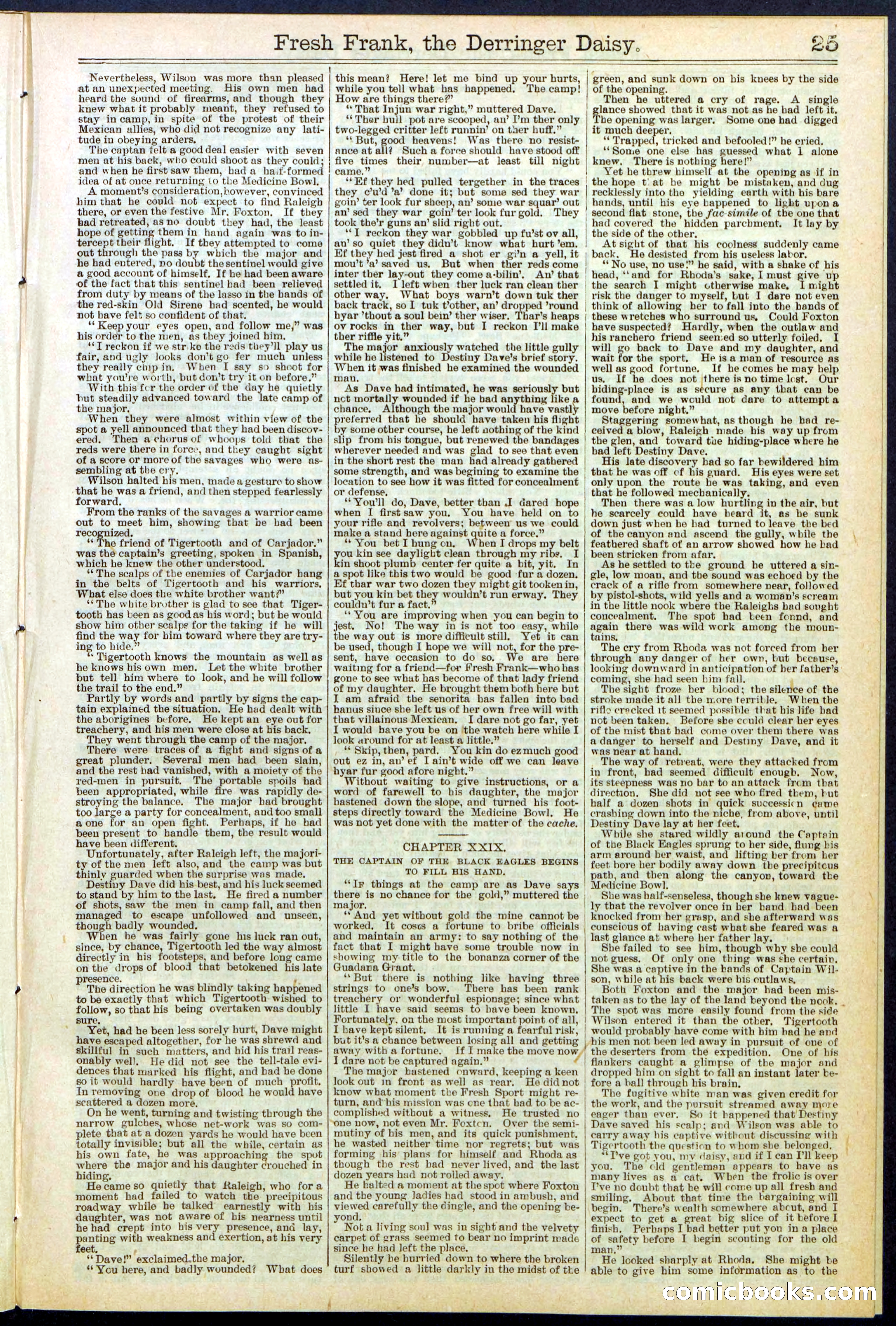 Beadle's New York Dime Library No. 525 — page 25 of 32