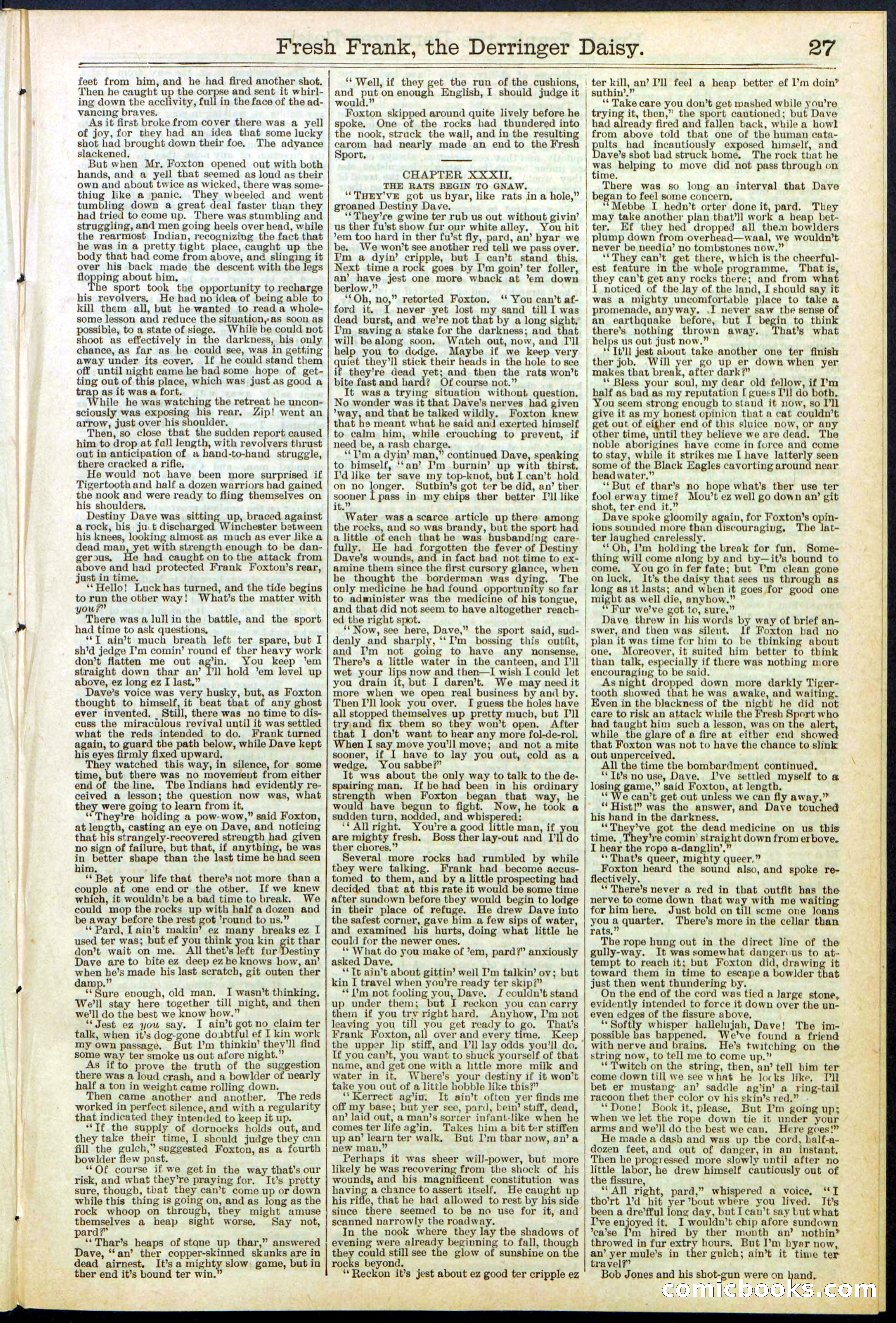 Beadle's New York Dime Library No. 525 — page 27 of 32