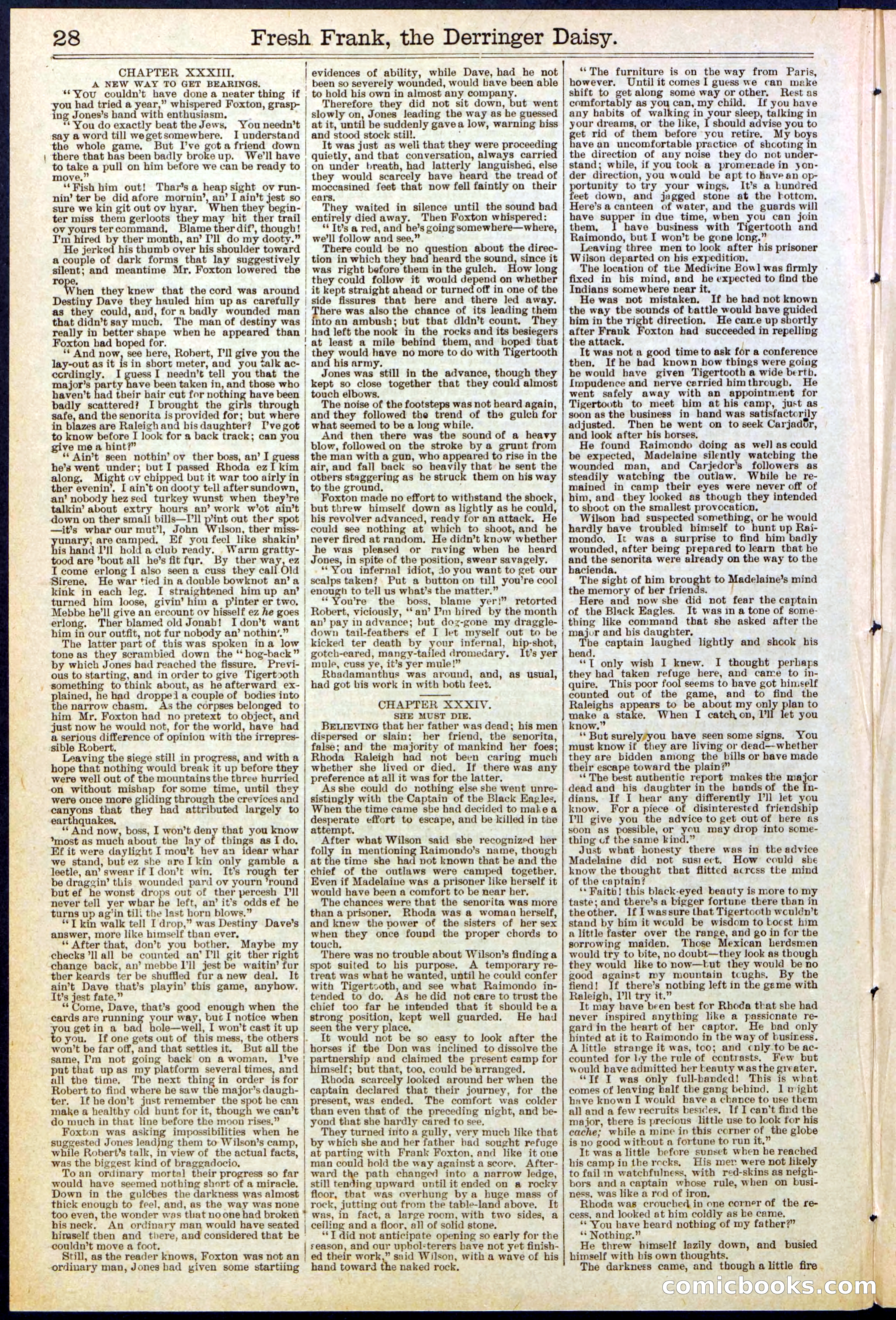 Beadle's New York Dime Library No. 525 — page 28 of 32