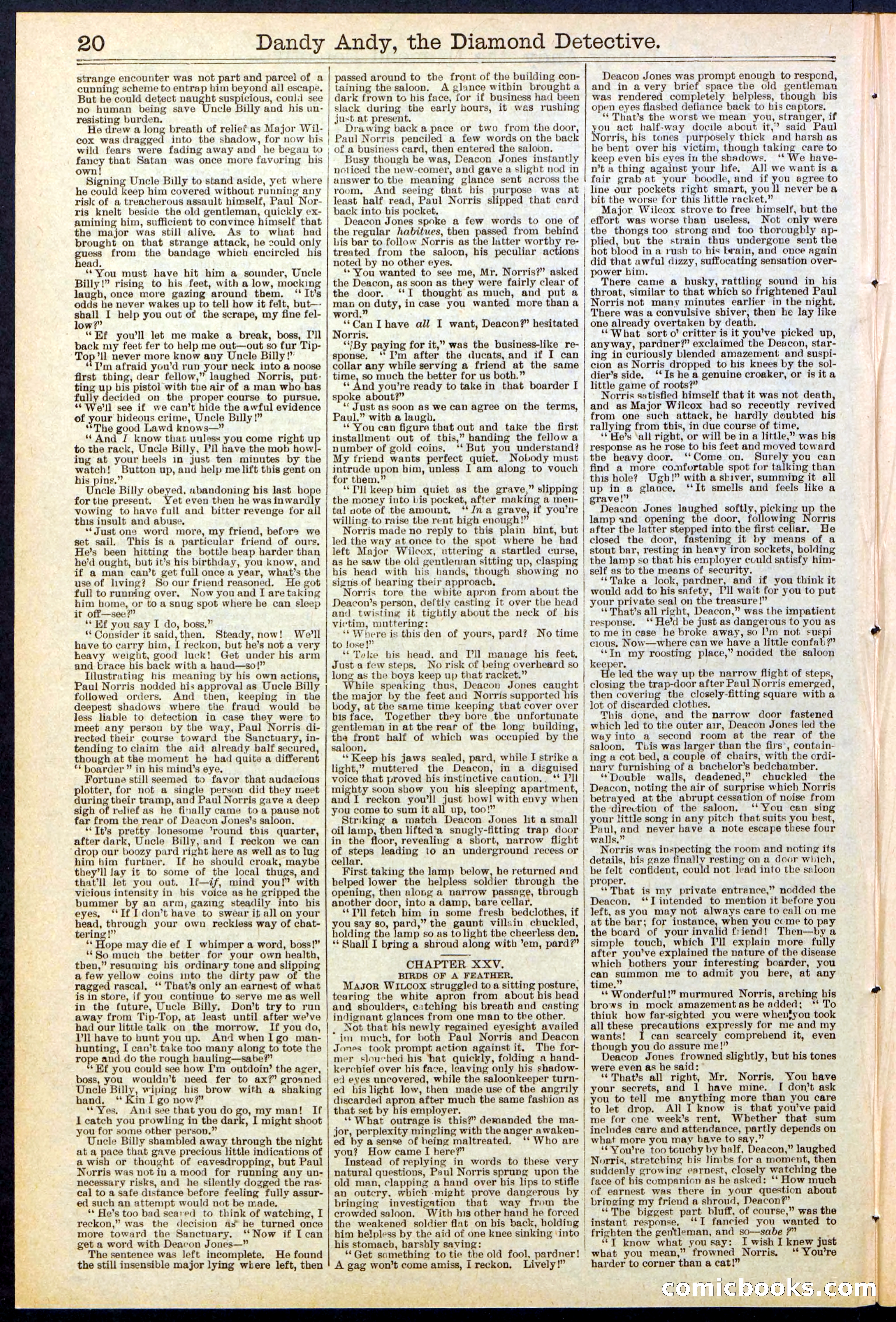 Beadle's Dime Library No. 527 — page 20 of 32