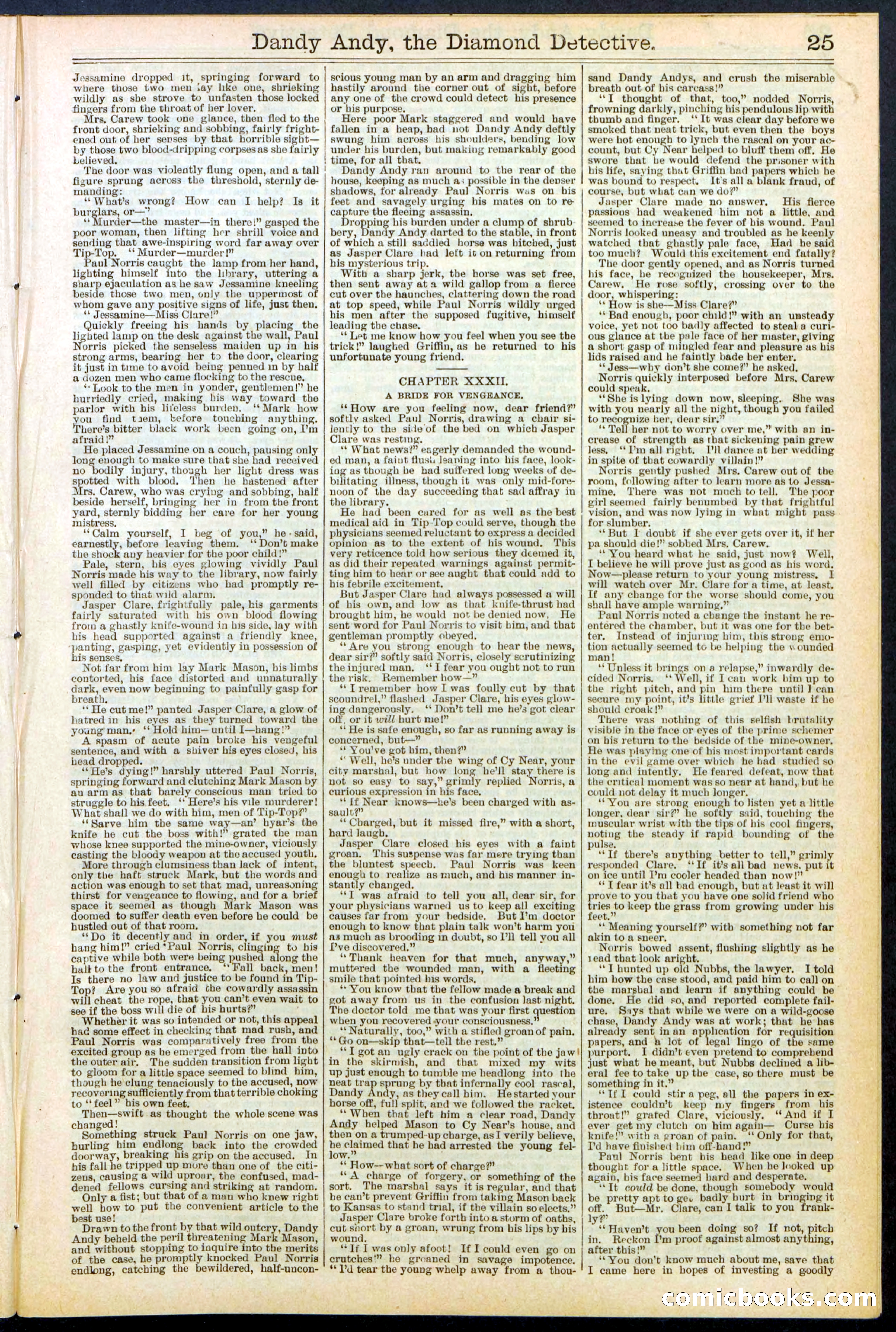 Beadle's Dime Library No. 527 — page 25 of 32