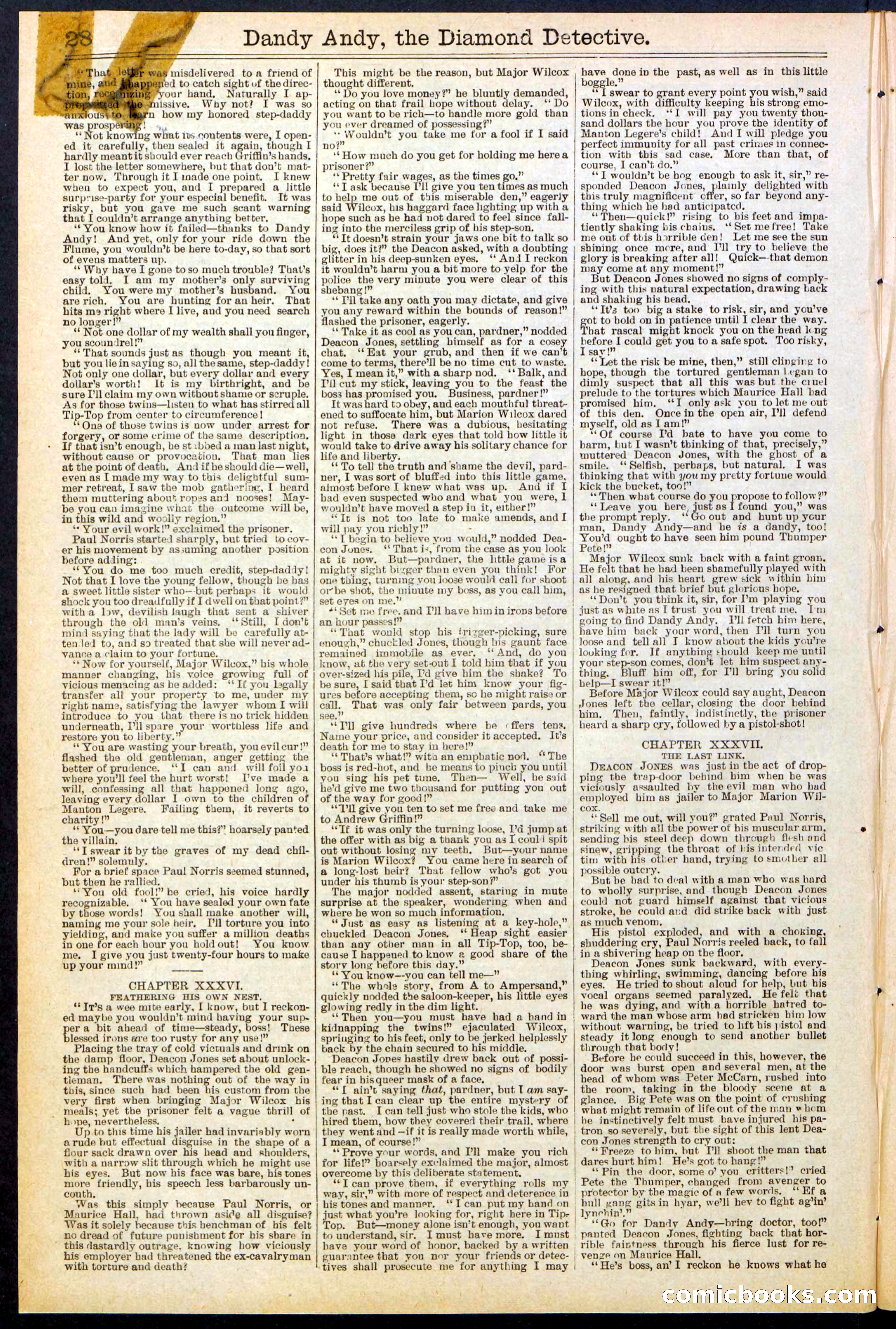 Beadle's Dime Library No. 527 — page 28 of 32