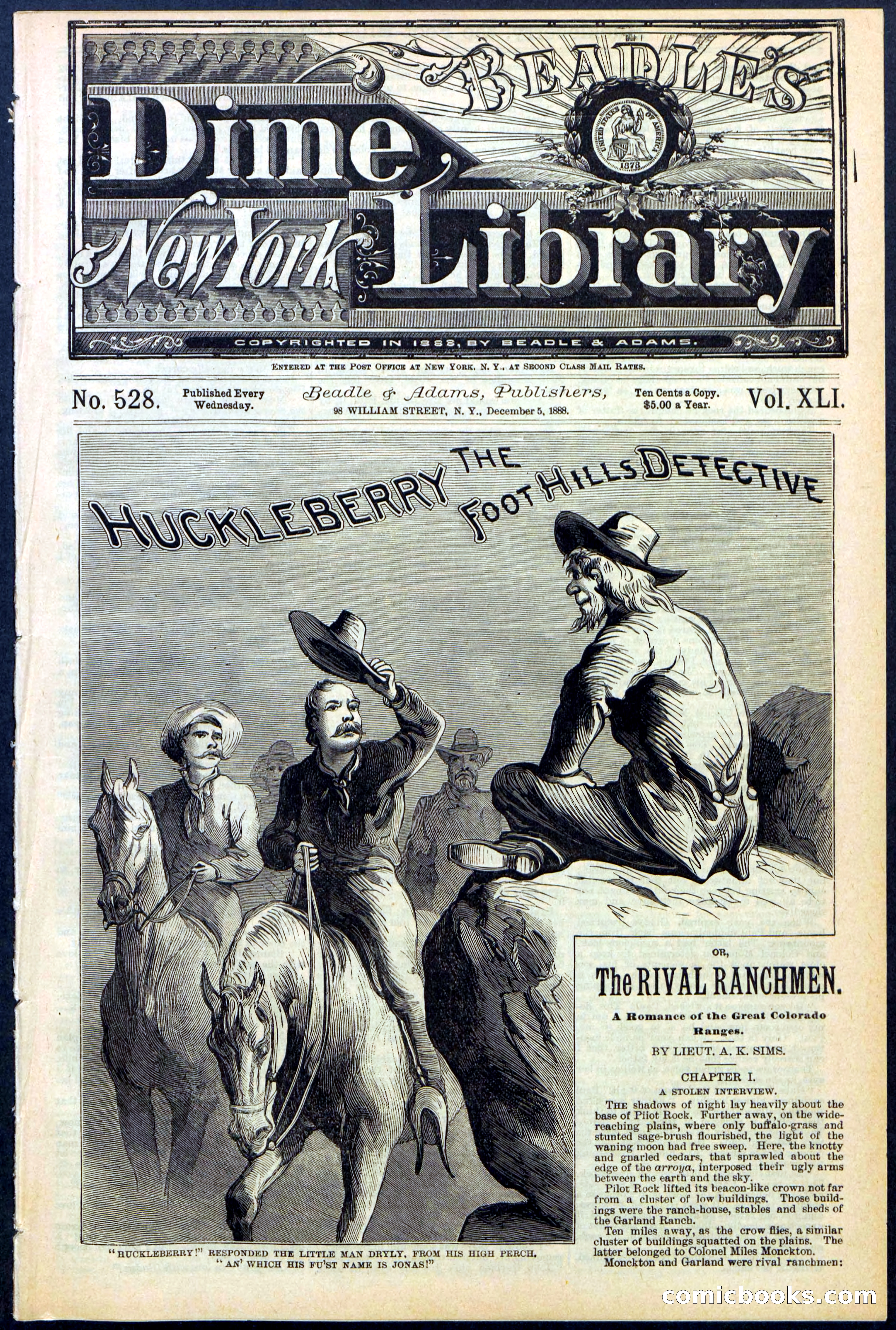 Beadle's New York Dime Library No. 528 — page 1 of 32