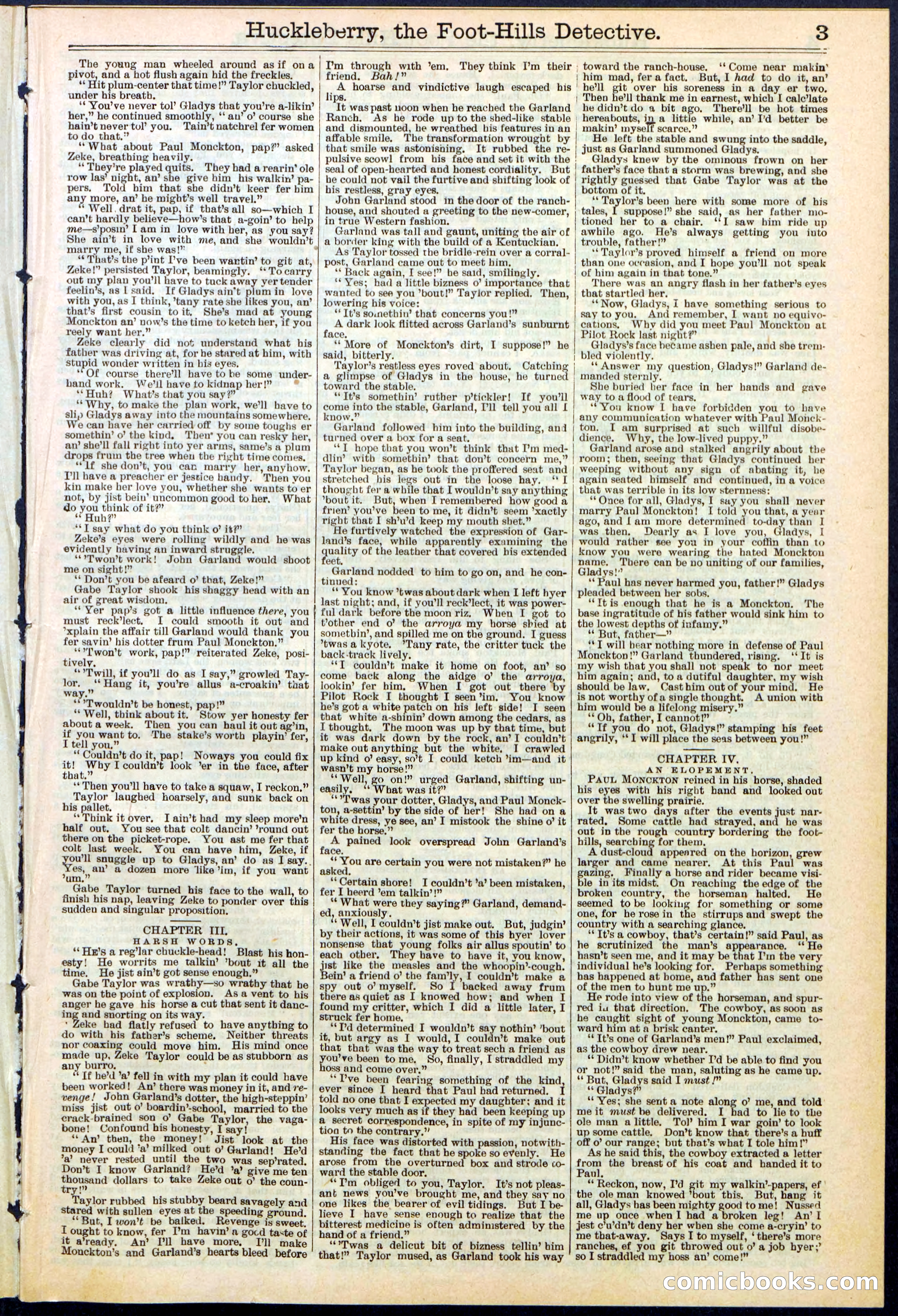 Beadle's New York Dime Library No. 528 — page 3 of 32