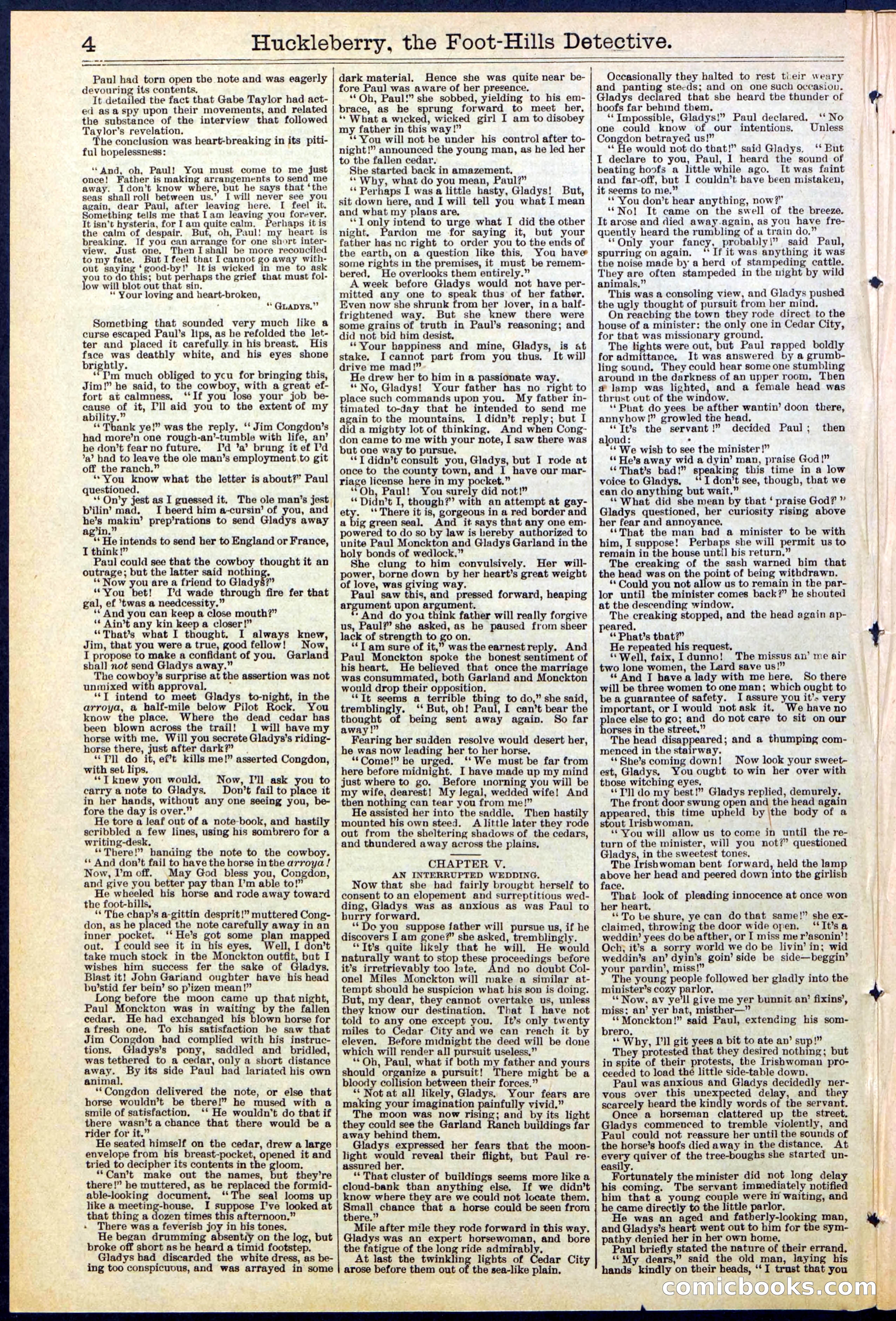 Beadle's New York Dime Library No. 528 — page 4 of 32