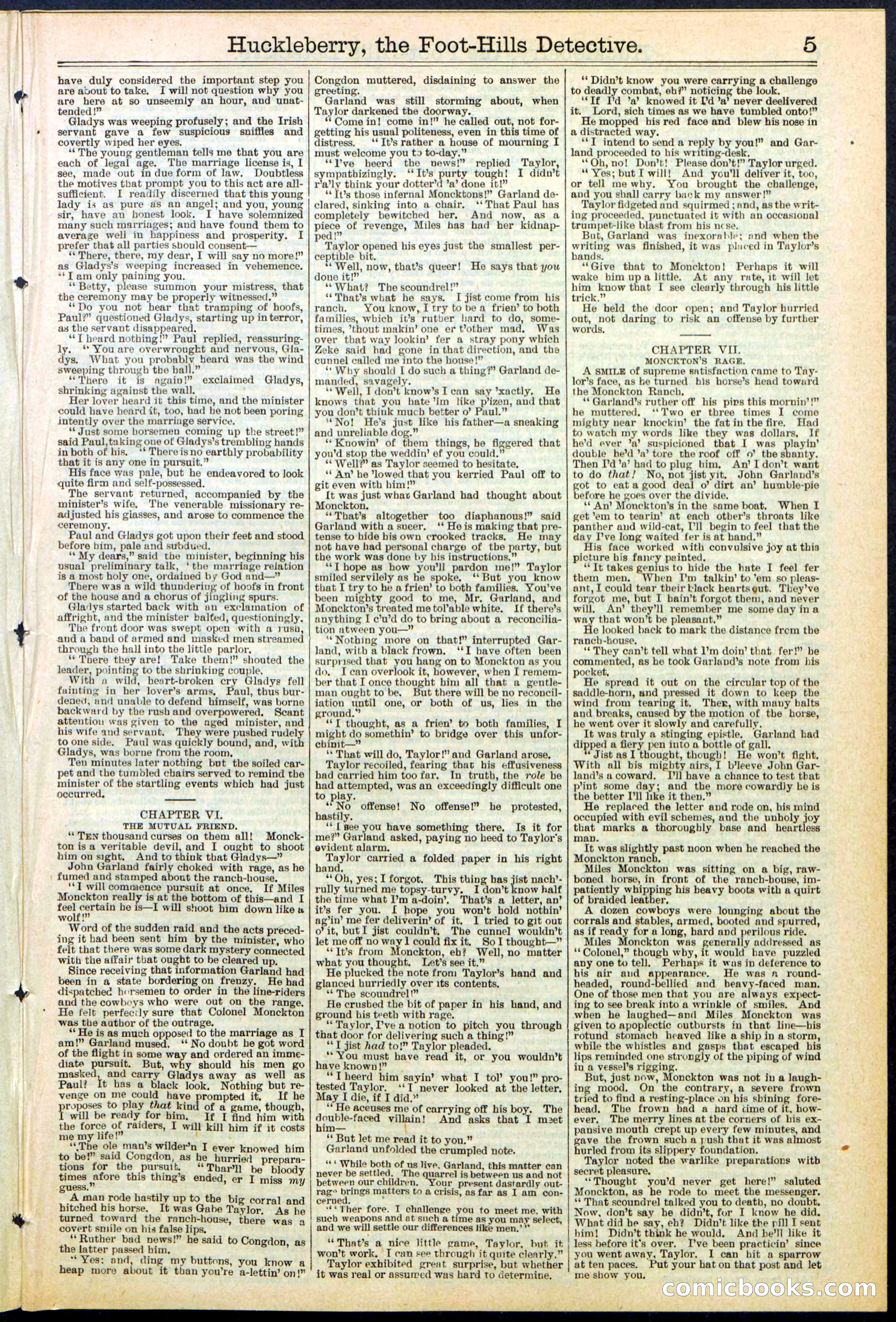 Beadle's New York Dime Library No. 528 — page 5 of 32