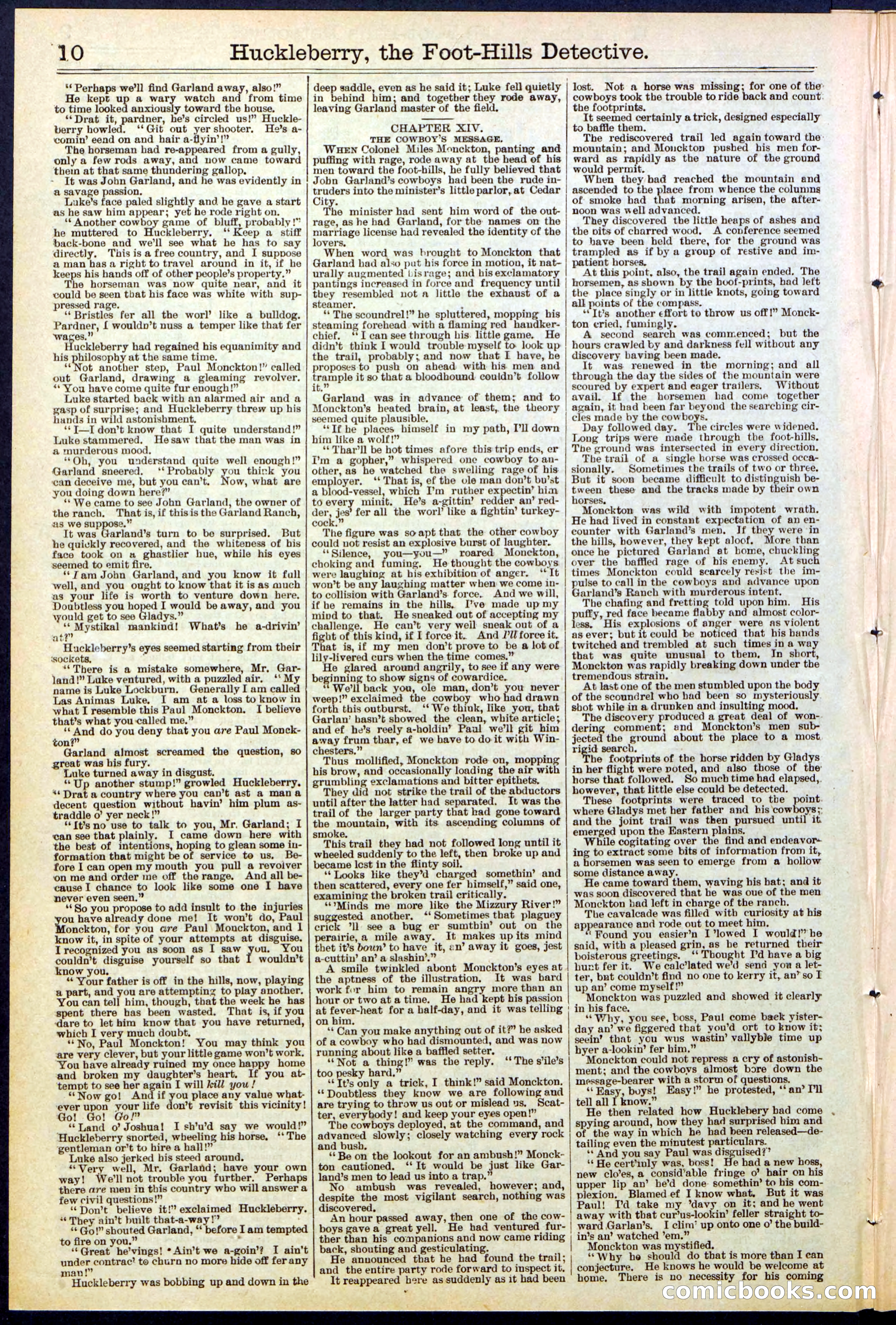 Beadle's New York Dime Library No. 528 — page 10 of 32