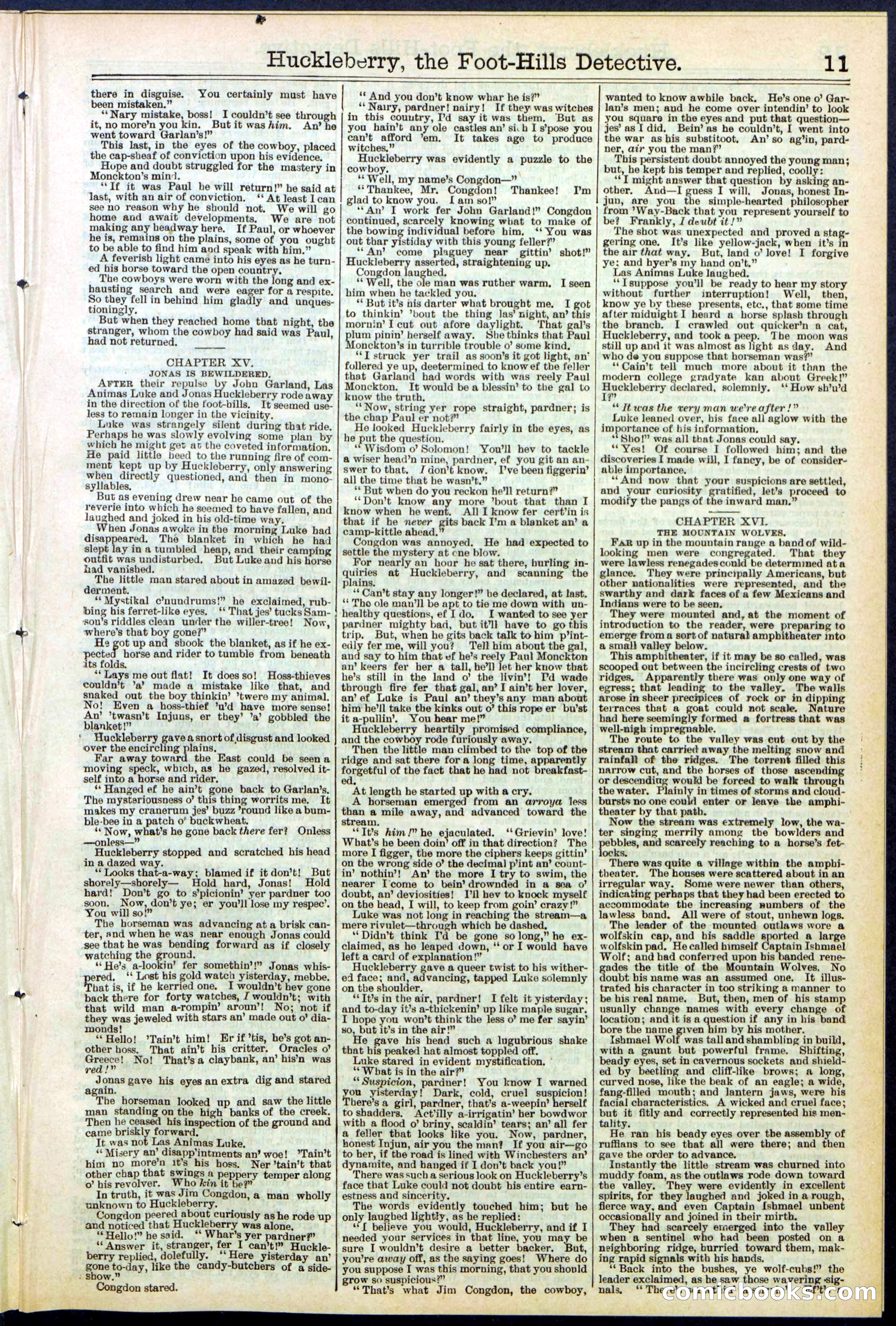 Beadle's New York Dime Library No. 528 — page 11 of 32