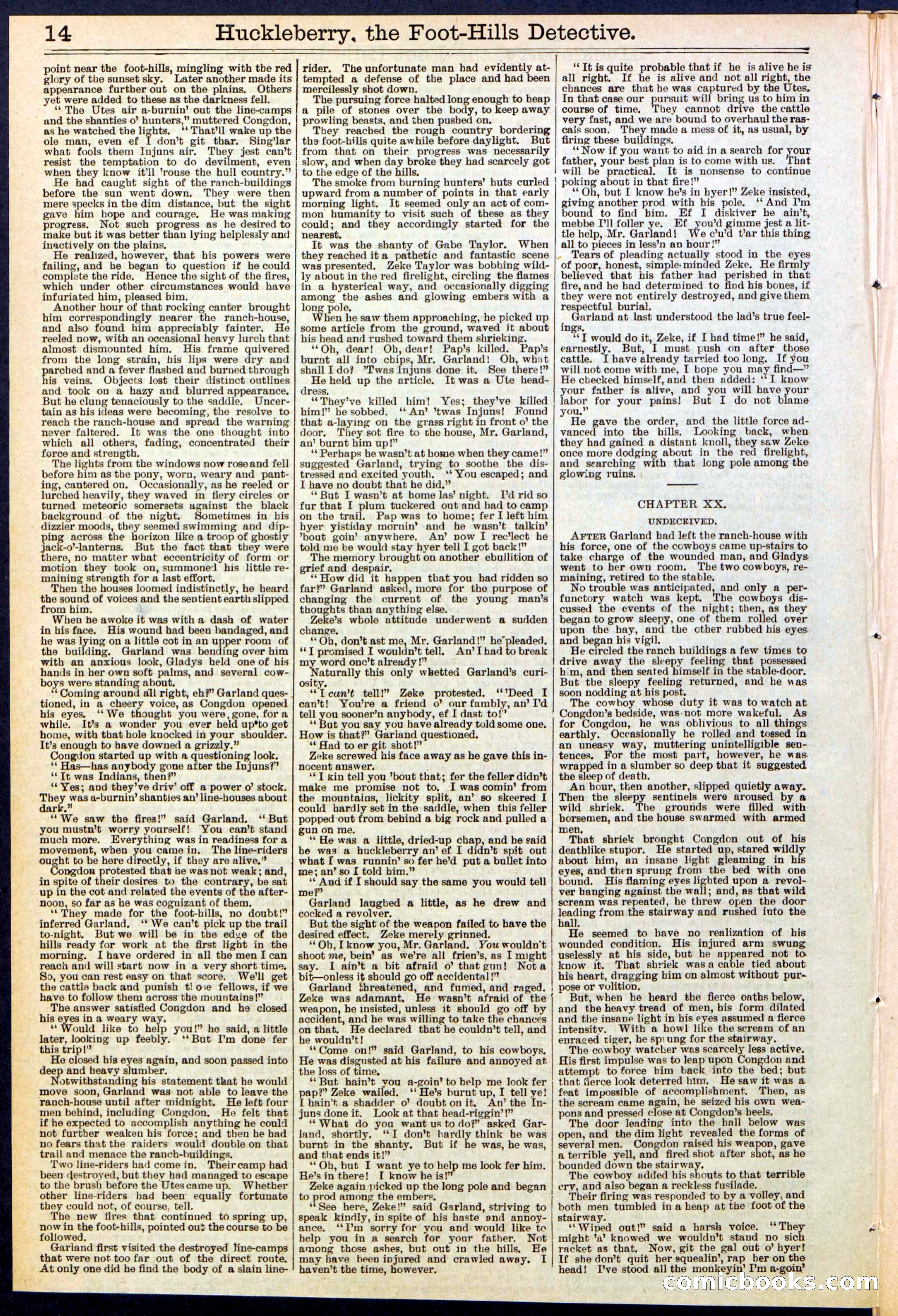 Beadle's New York Dime Library No. 528 — page 14 of 32