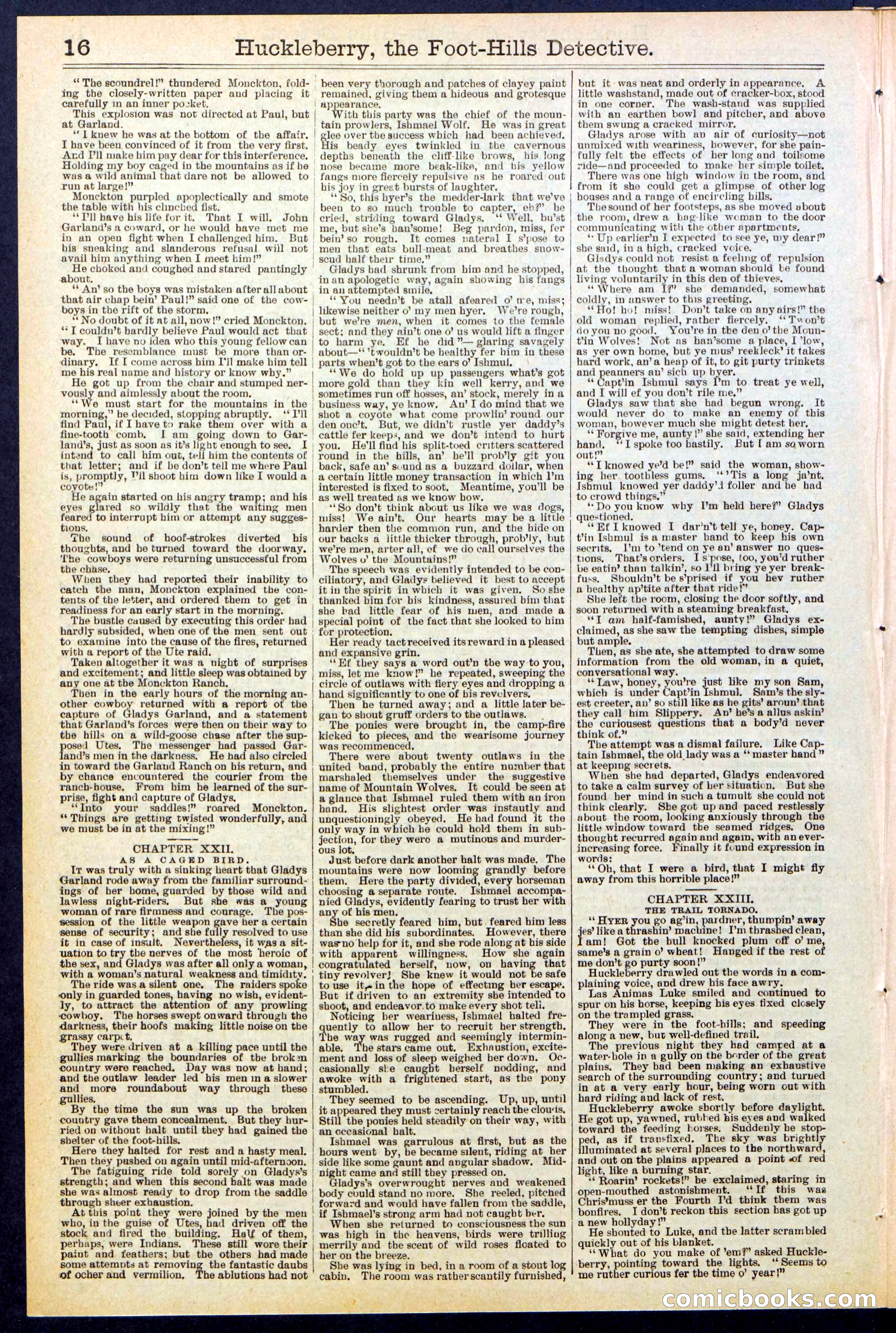 Beadle's New York Dime Library No. 528 — page 16 of 32