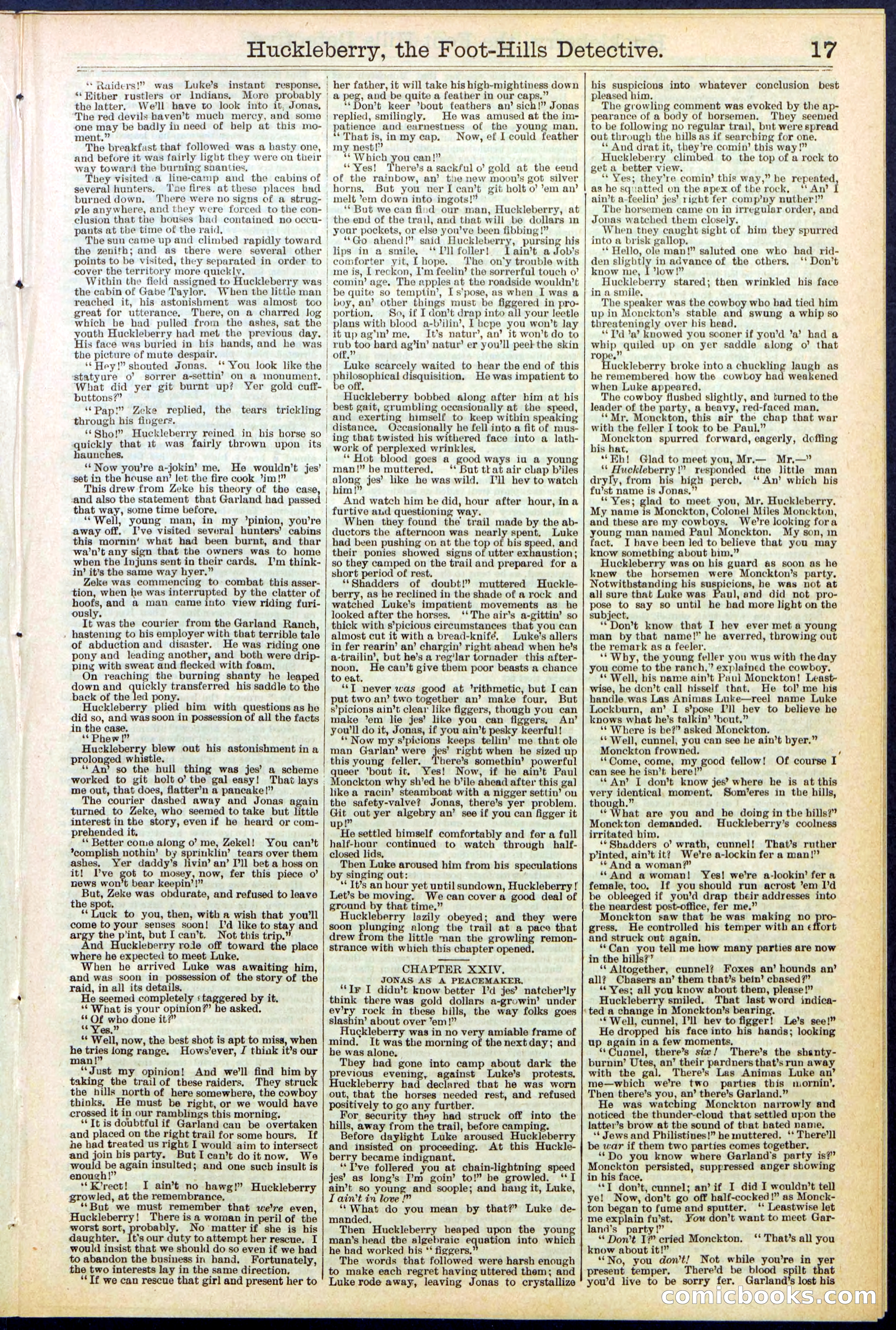 Beadle's New York Dime Library No. 528 — page 17 of 32
