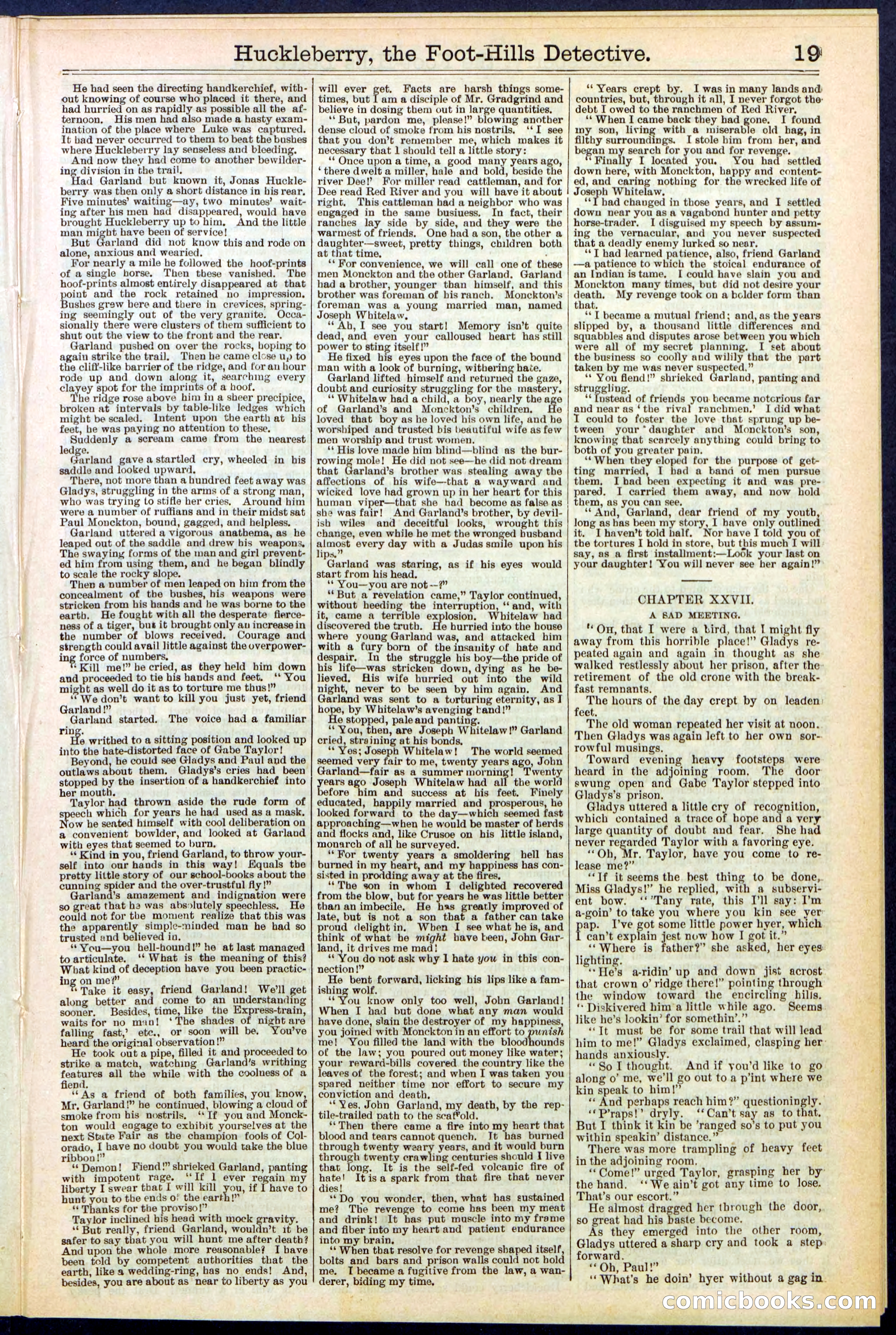Beadle's New York Dime Library No. 528 — page 19 of 32