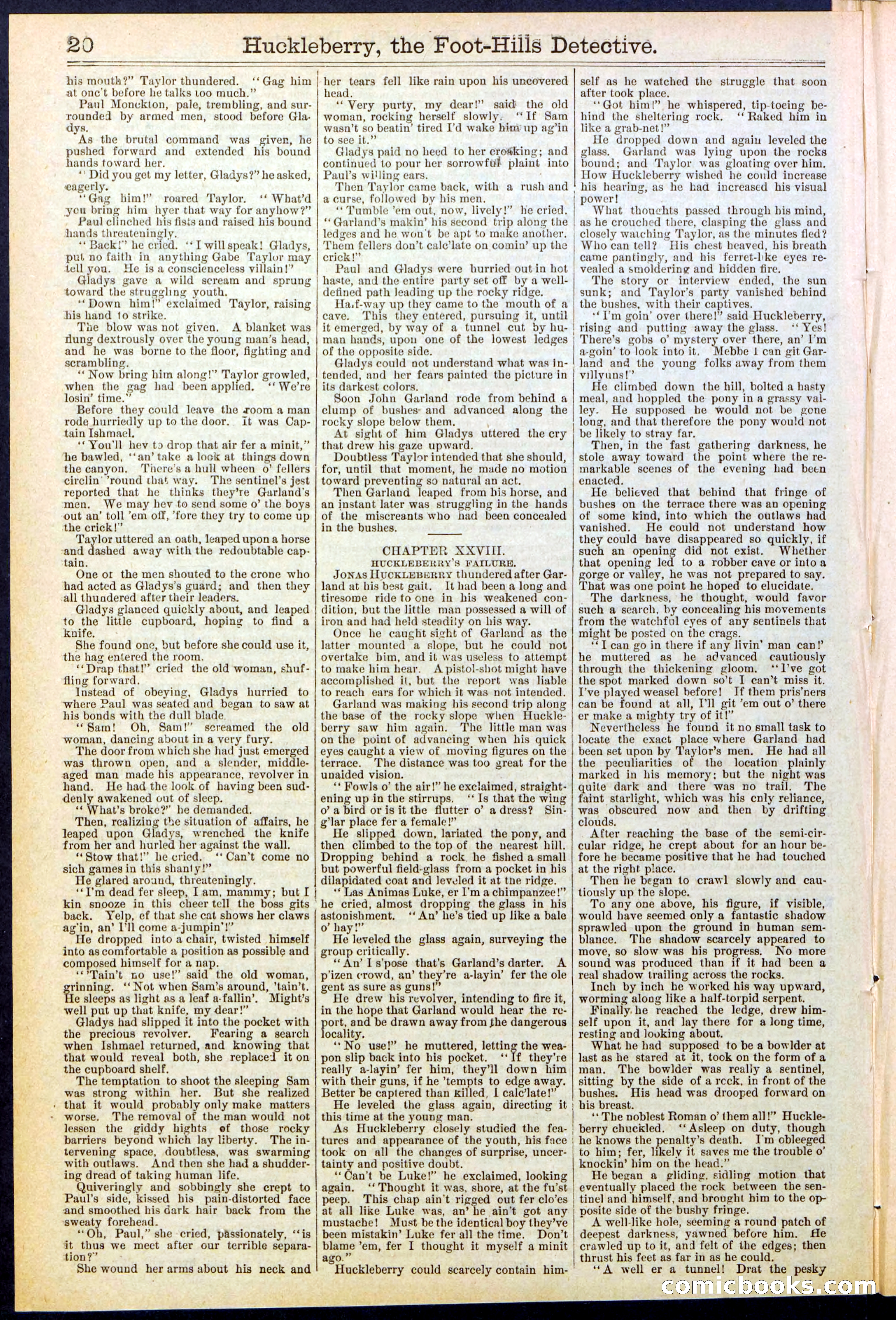 Beadle's New York Dime Library No. 528 — page 20 of 32
