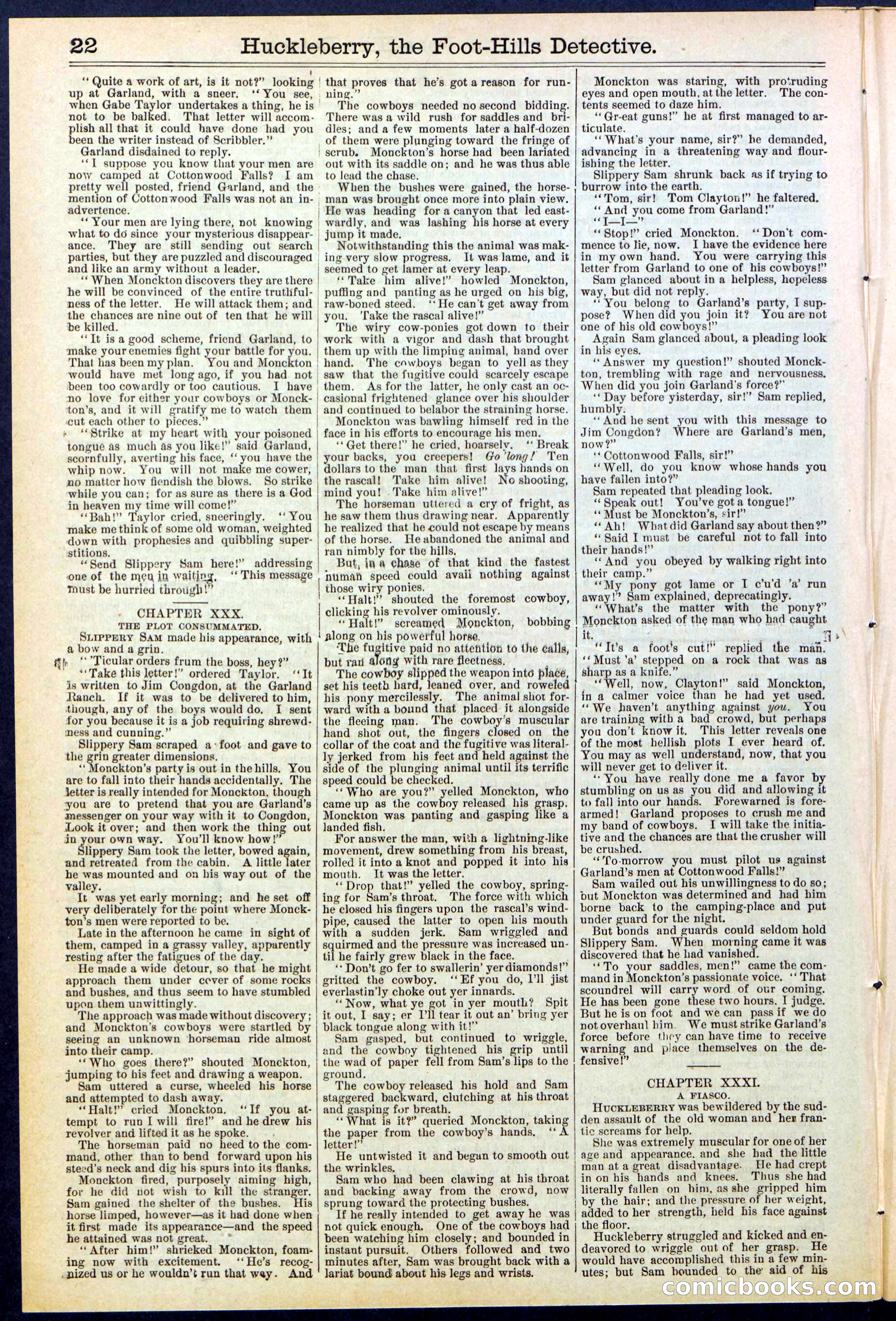 Beadle's New York Dime Library No. 528 — page 22 of 32