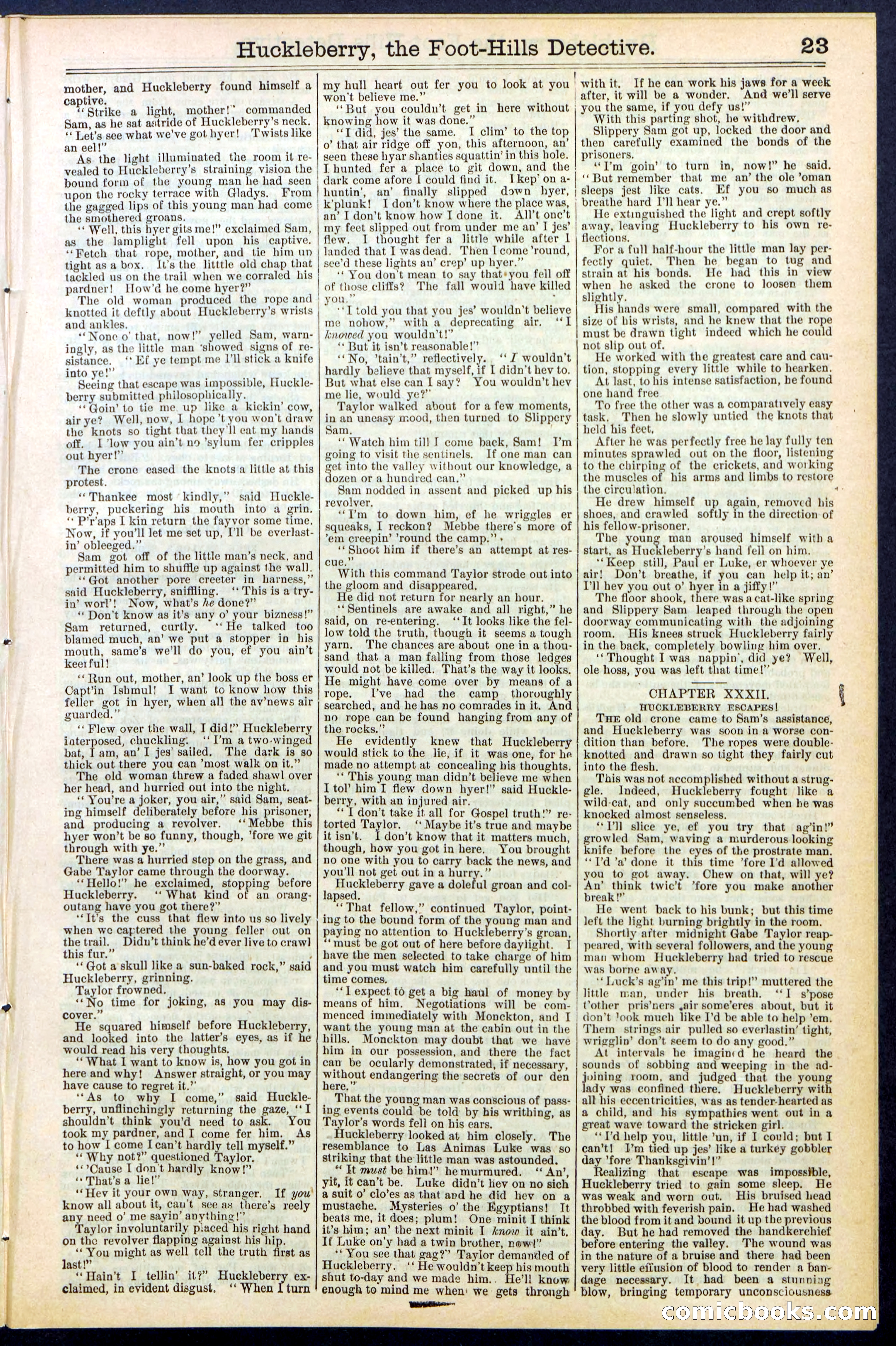 Beadle's New York Dime Library No. 528 — page 23 of 32