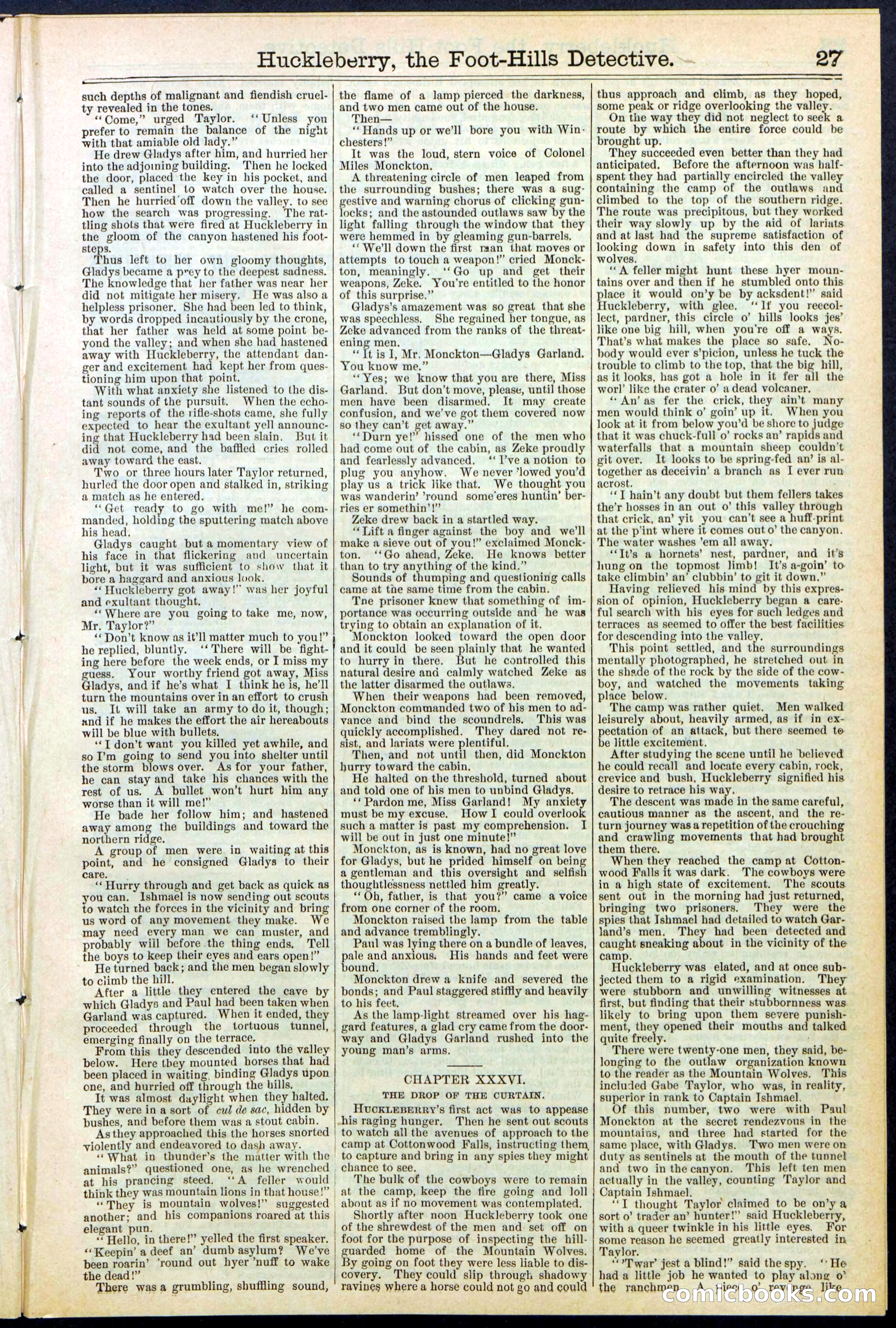 Beadle's New York Dime Library No. 528 — page 27 of 32