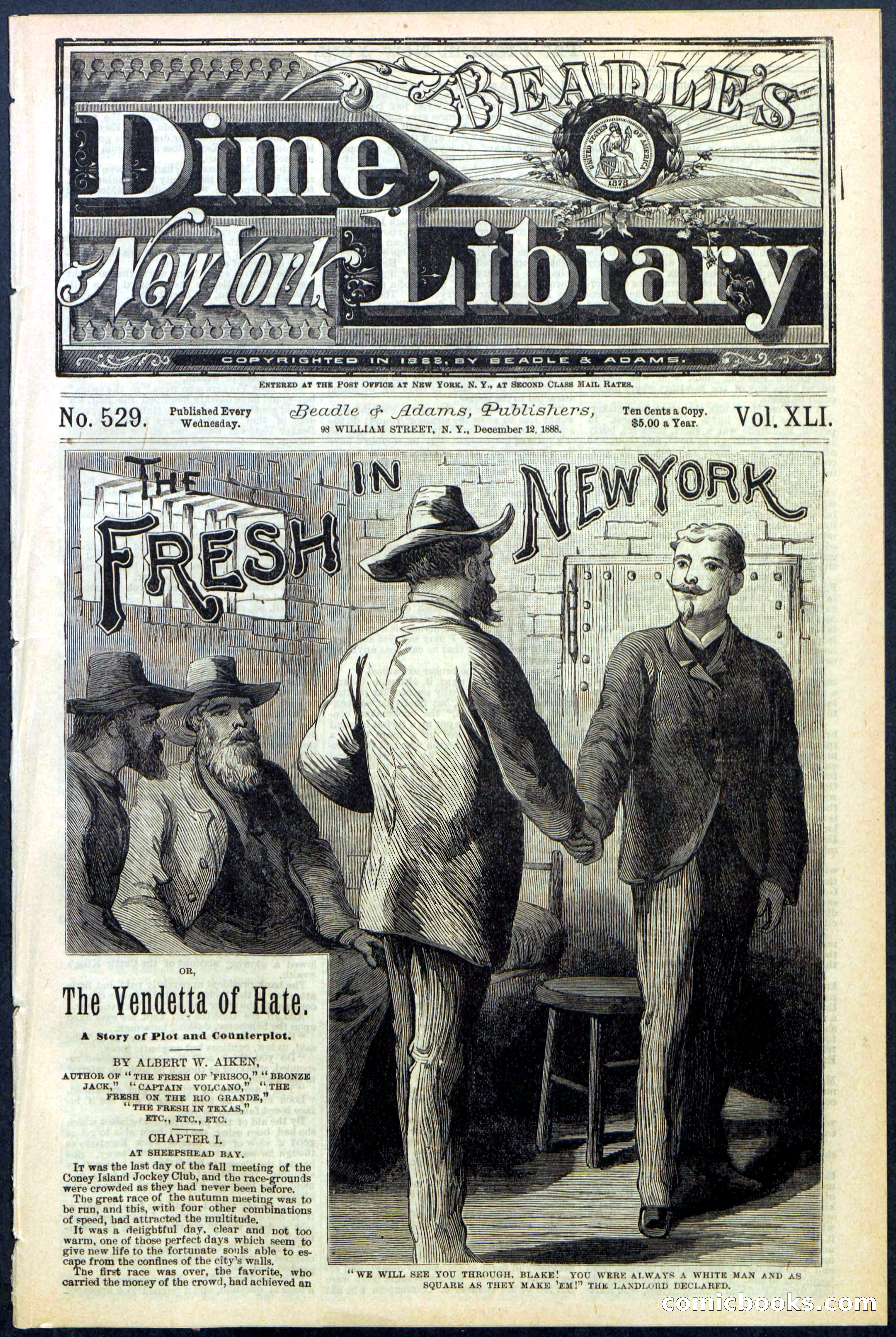 Beadle's New York Dime Library, No. 529 — page 1 of 32