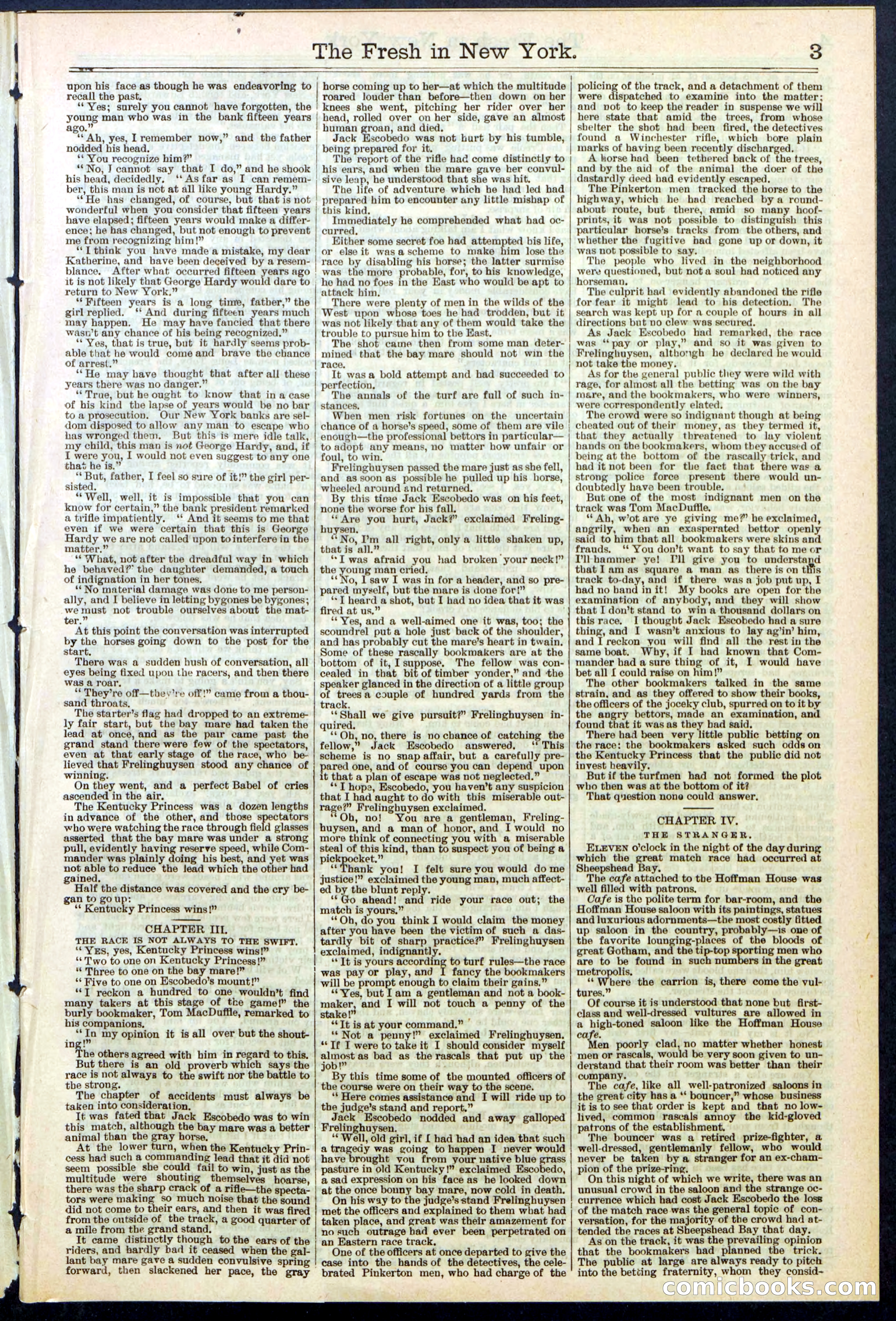 Beadle's New York Dime Library, No. 529 — page 3 of 32