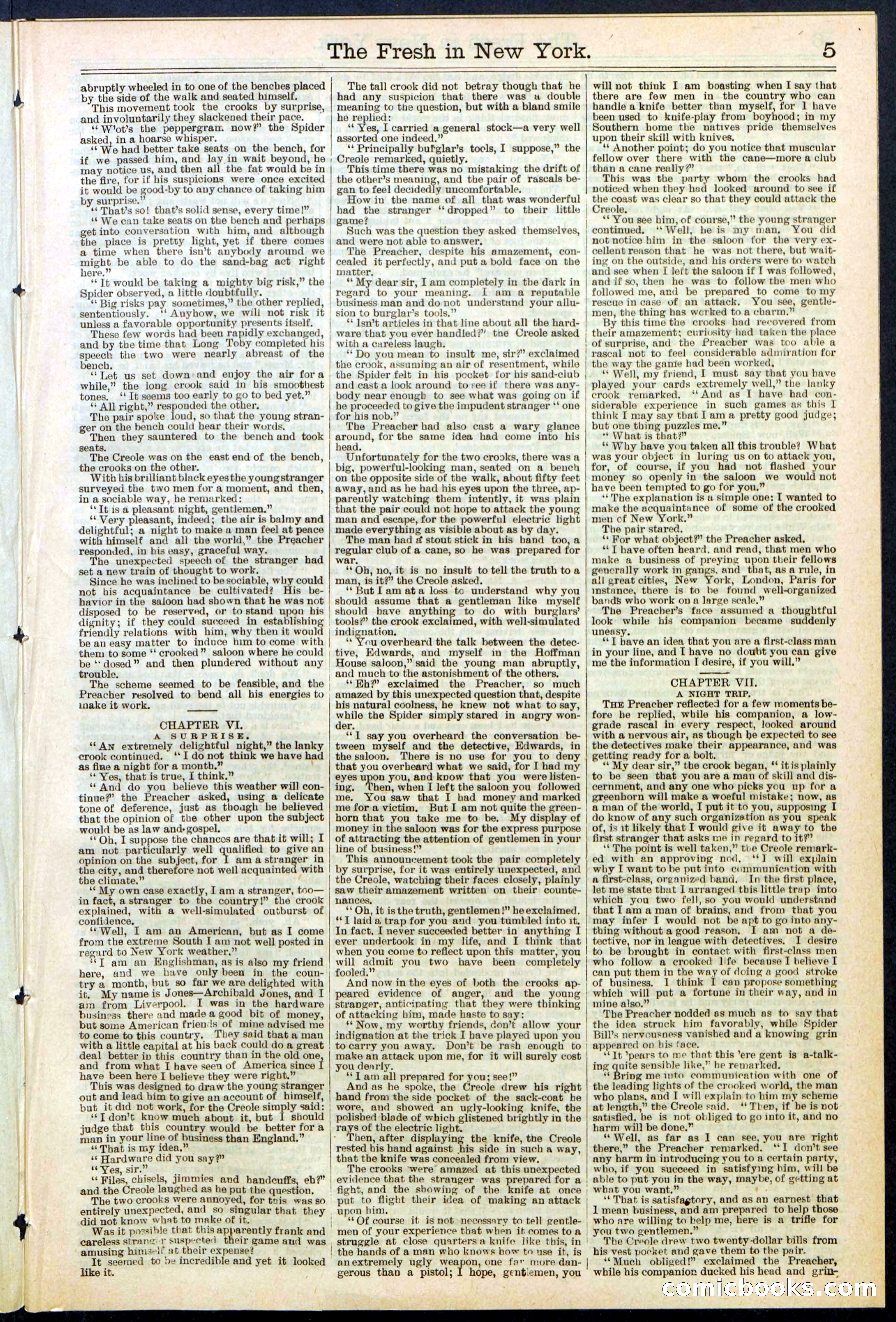 Beadle's New York Dime Library, No. 529 — page 5 of 32