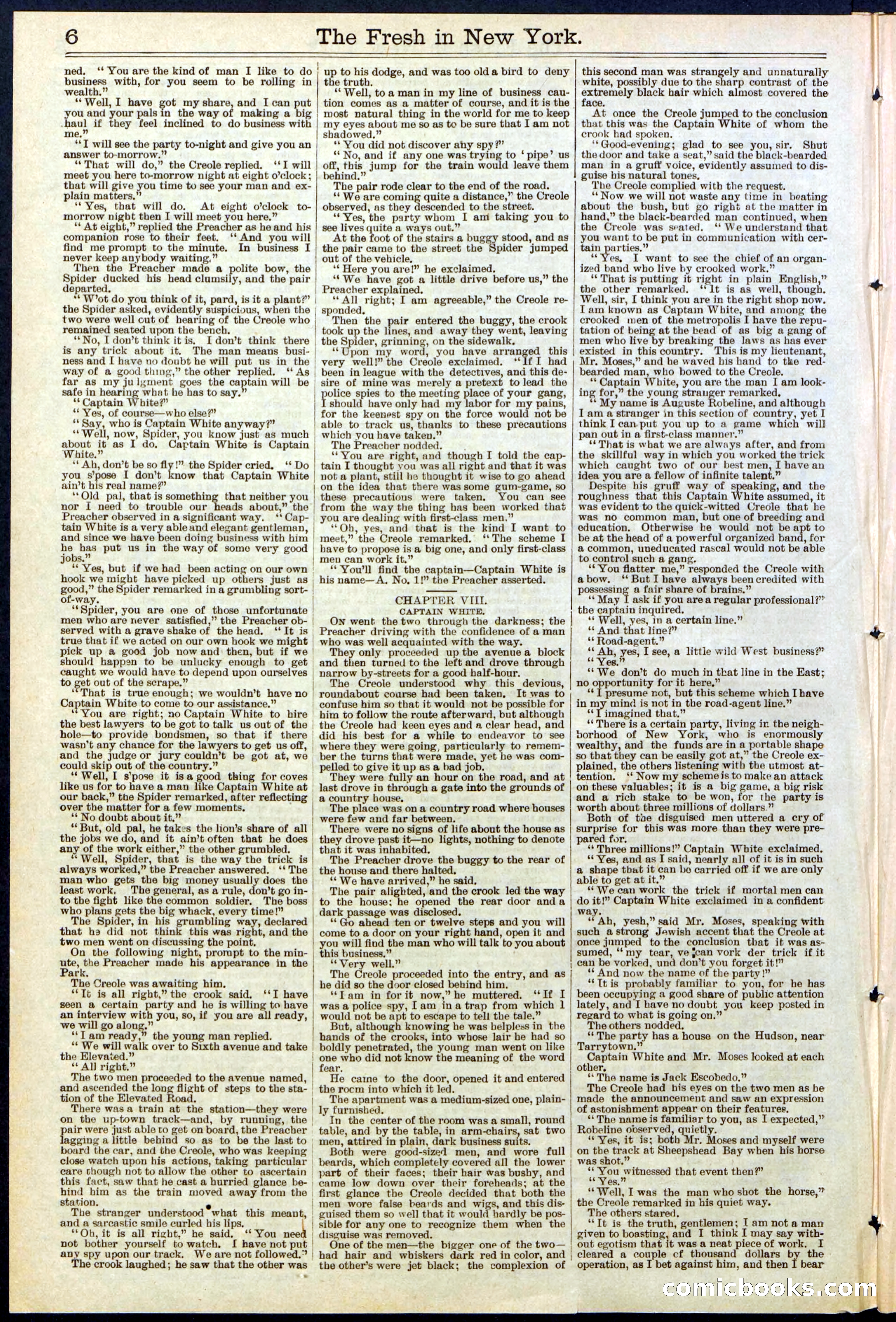 Beadle's New York Dime Library, No. 529 — page 6 of 32