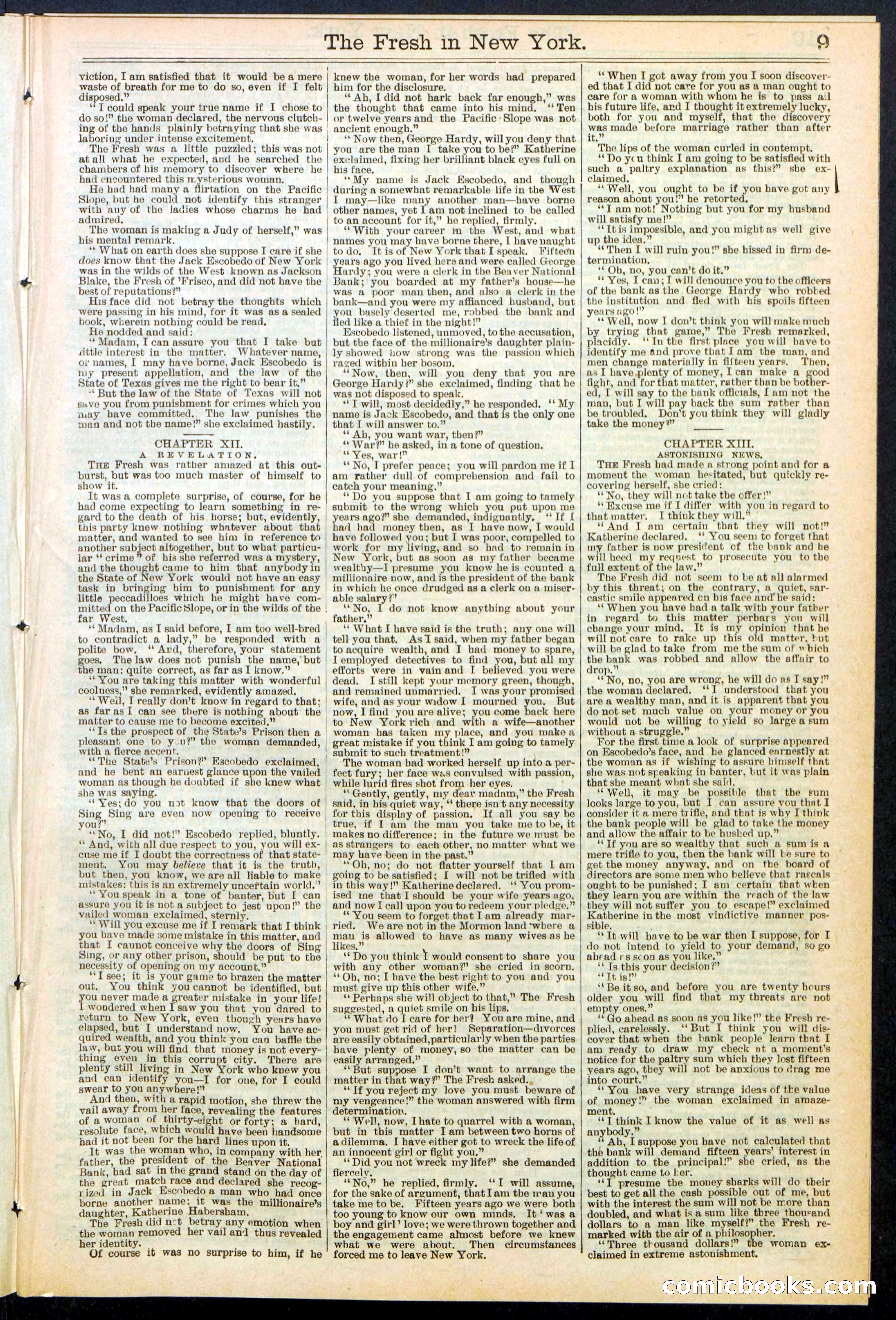 Beadle's New York Dime Library, No. 529 — page 9 of 32