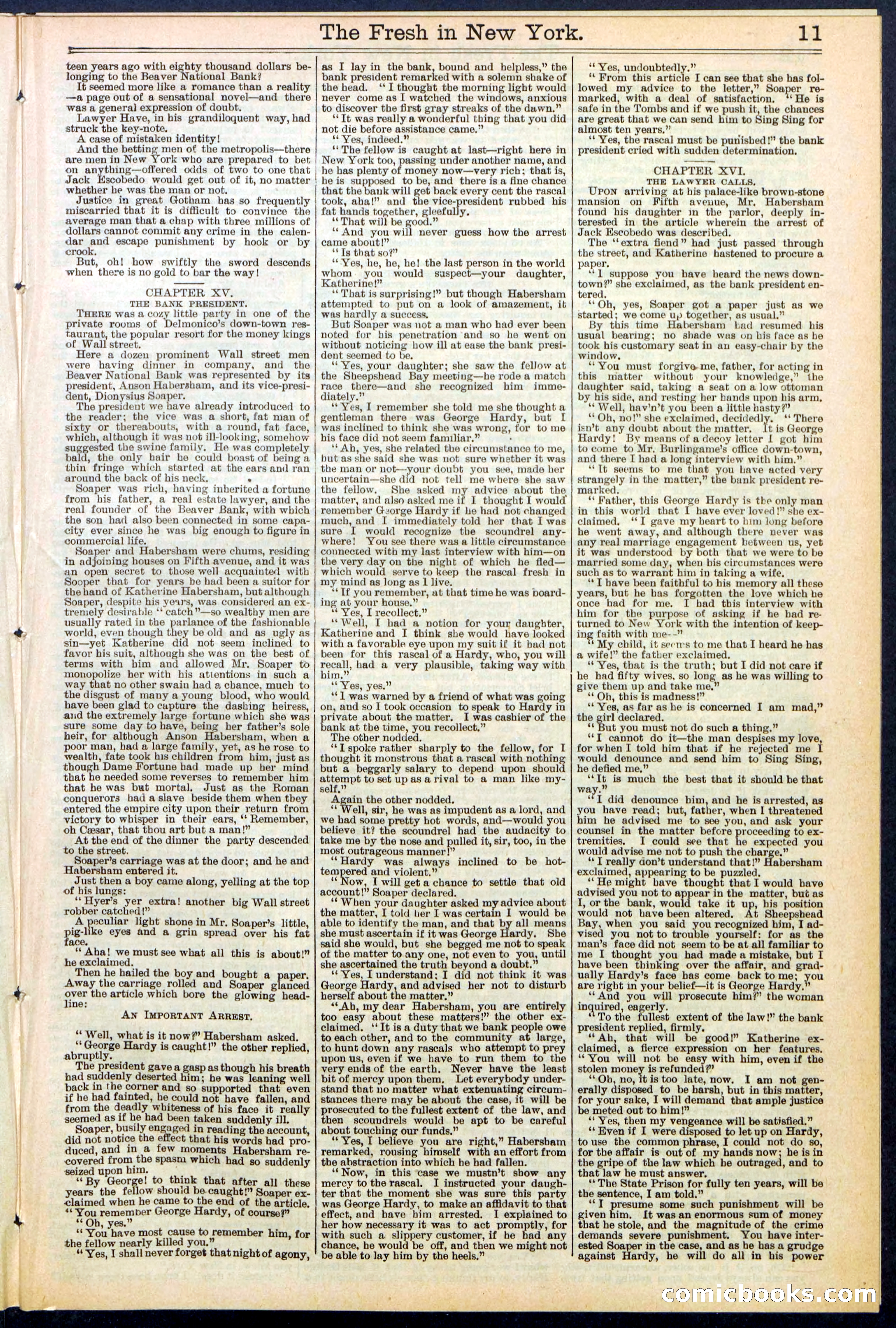 Beadle's New York Dime Library, No. 529 — page 11 of 32