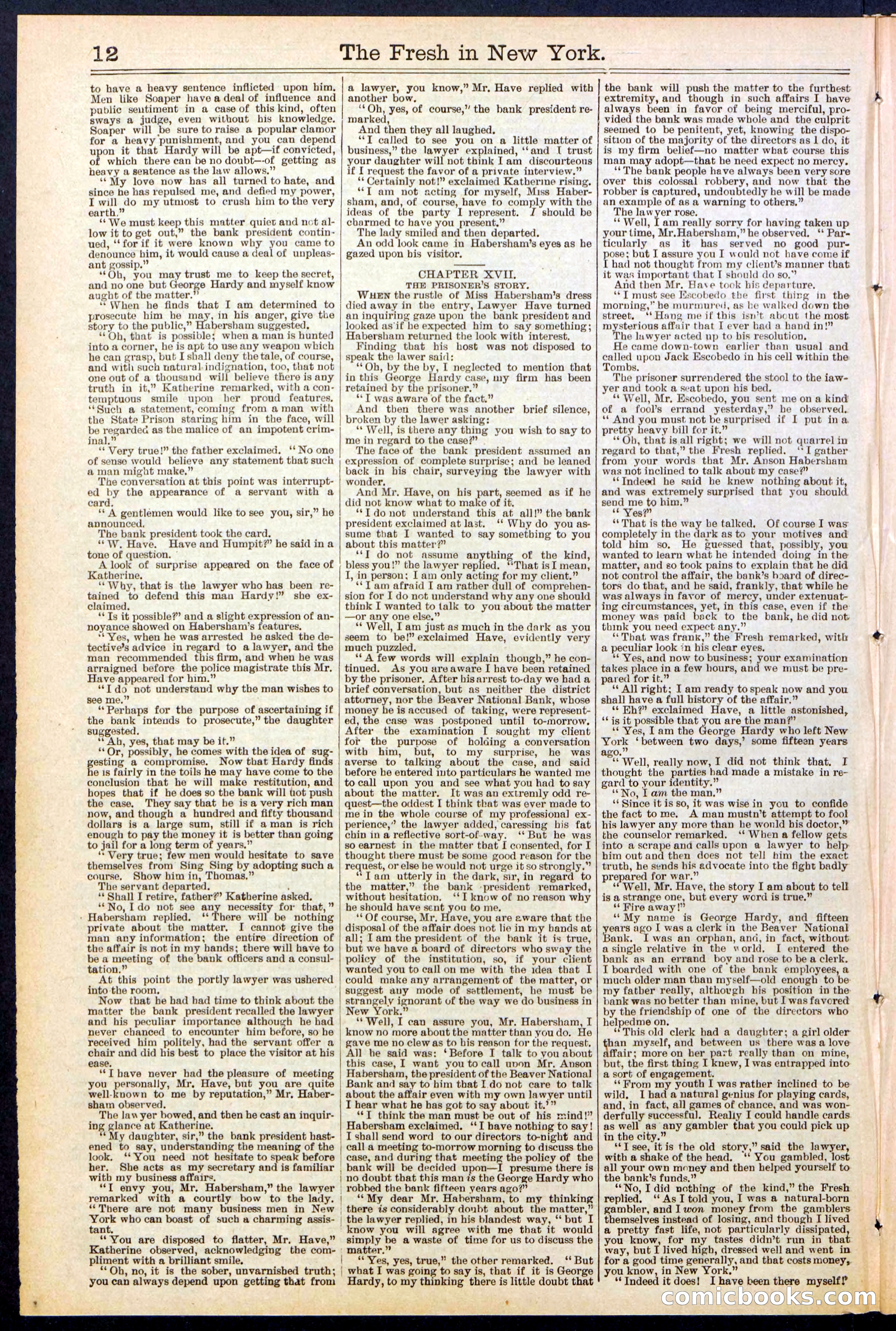 Beadle's New York Dime Library, No. 529 — page 12 of 32