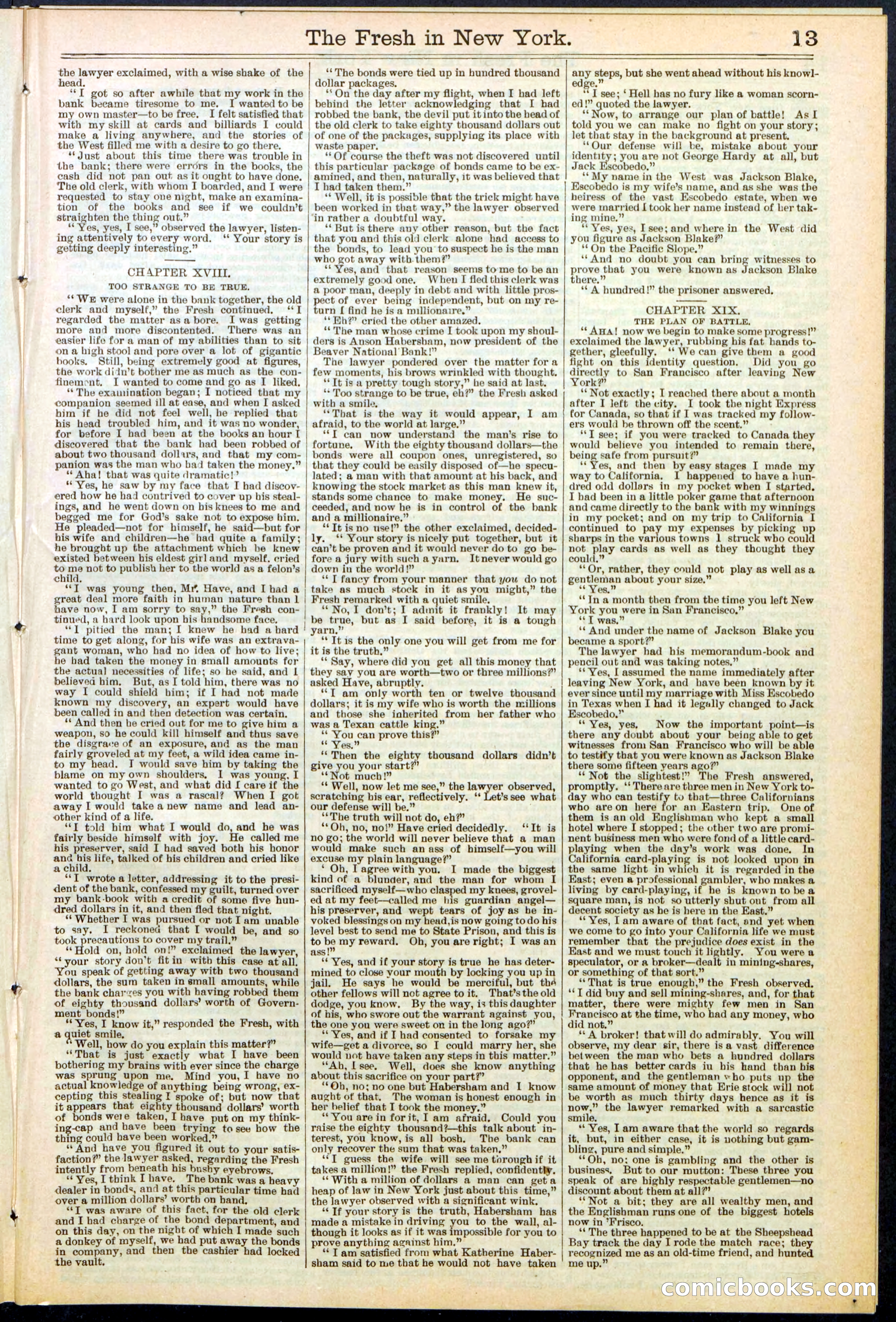 Beadle's New York Dime Library, No. 529 — page 13 of 32
