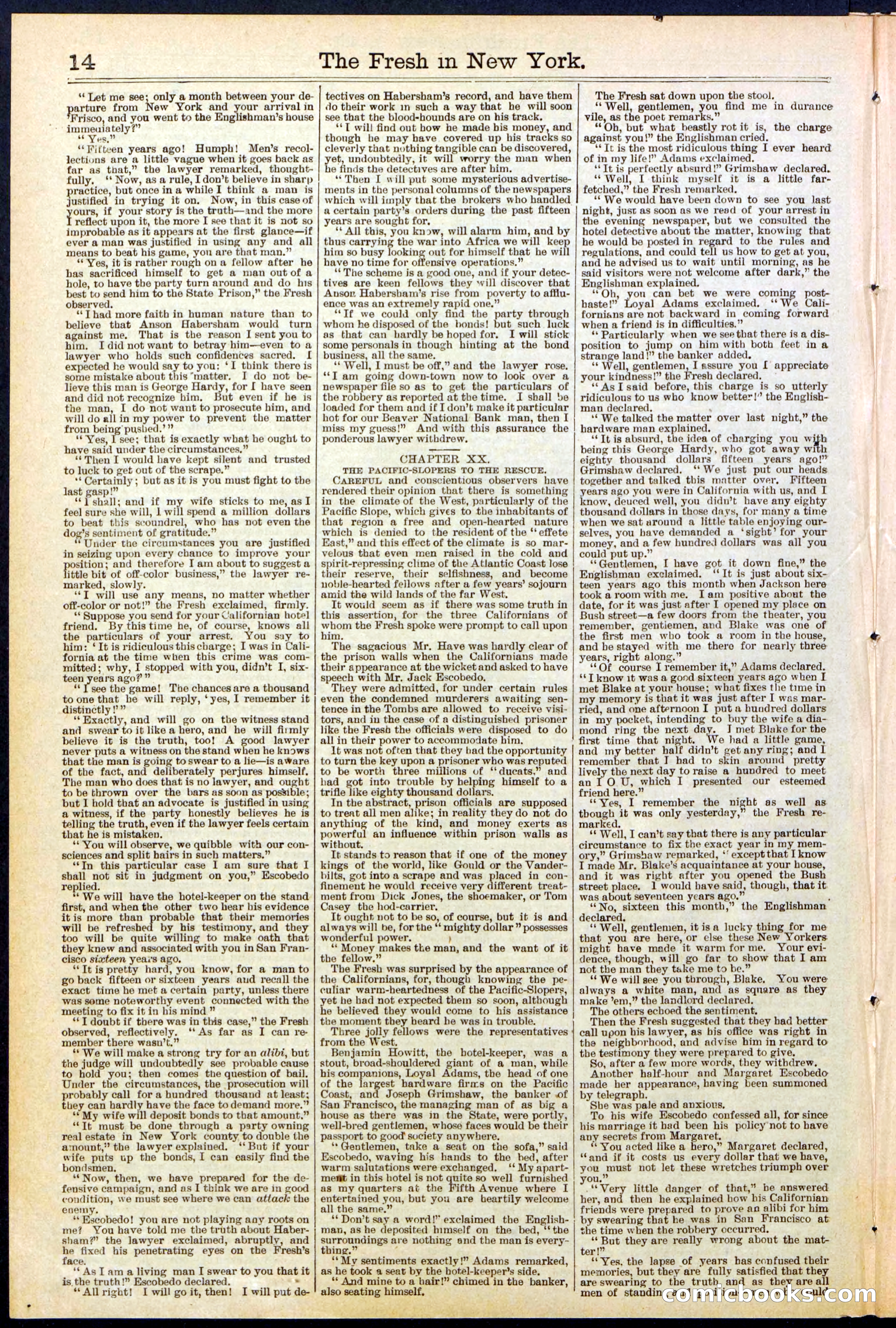 Beadle's New York Dime Library, No. 529 — page 14 of 32