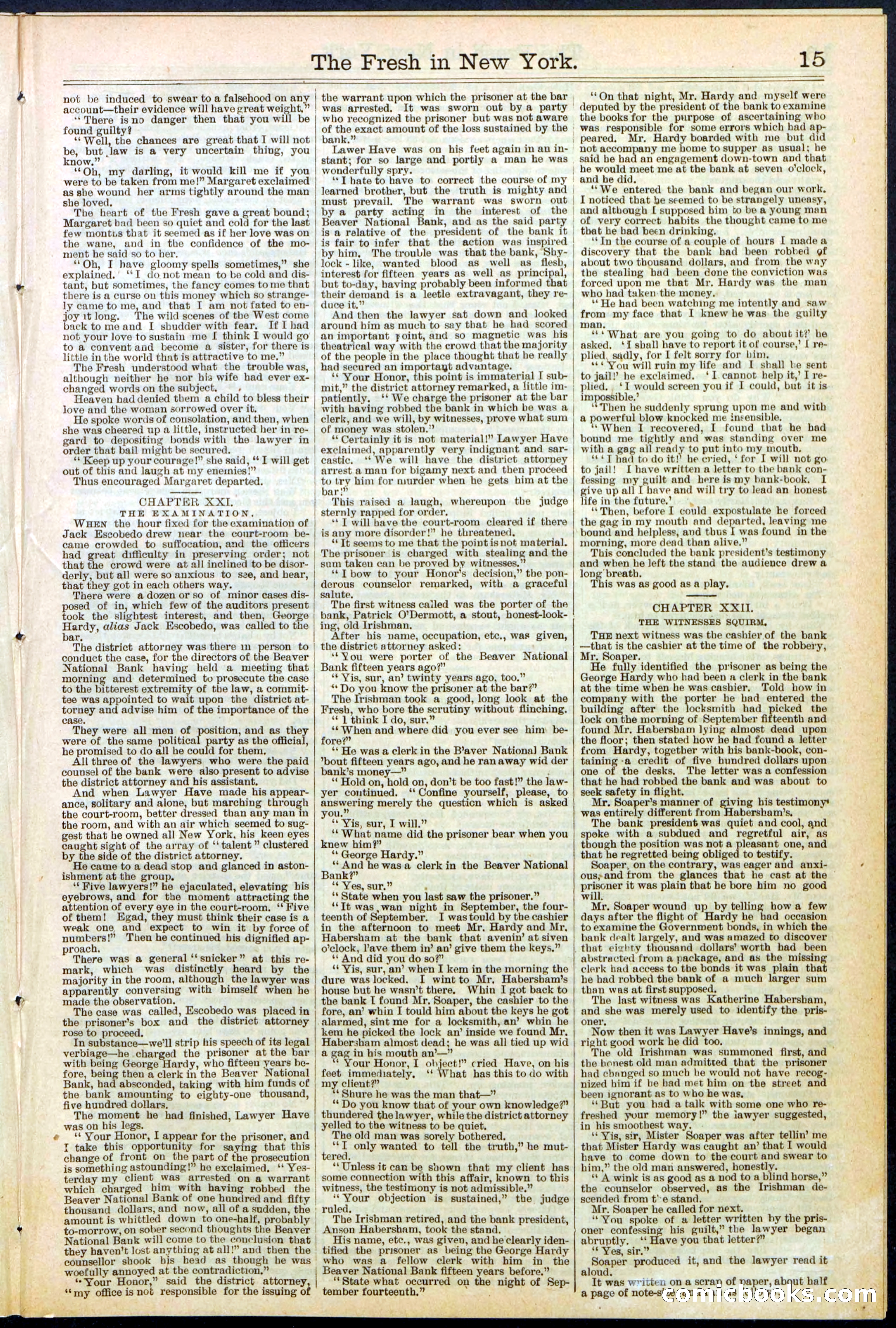 Beadle's New York Dime Library, No. 529 — page 15 of 32