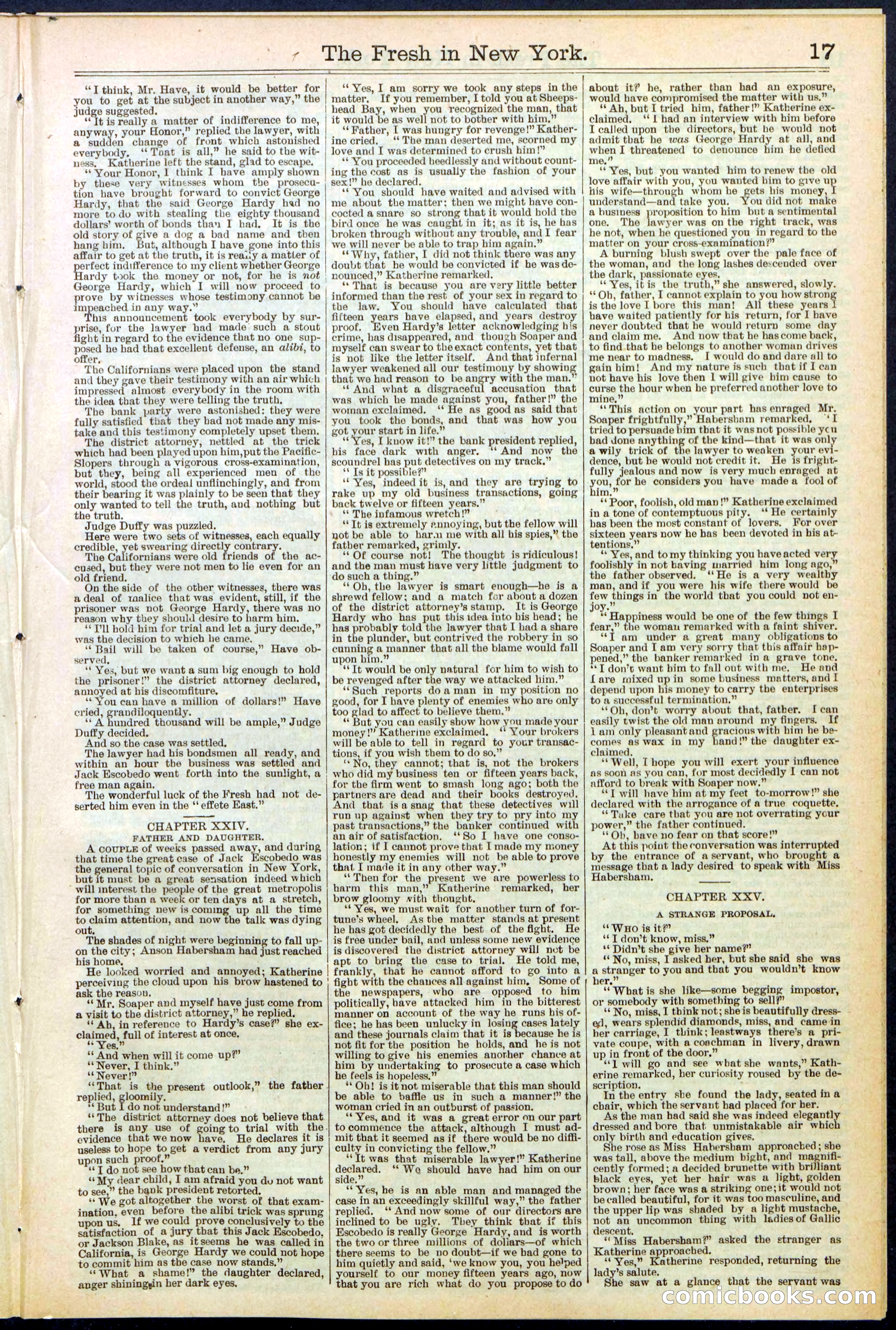 Beadle's New York Dime Library, No. 529 — page 17 of 32