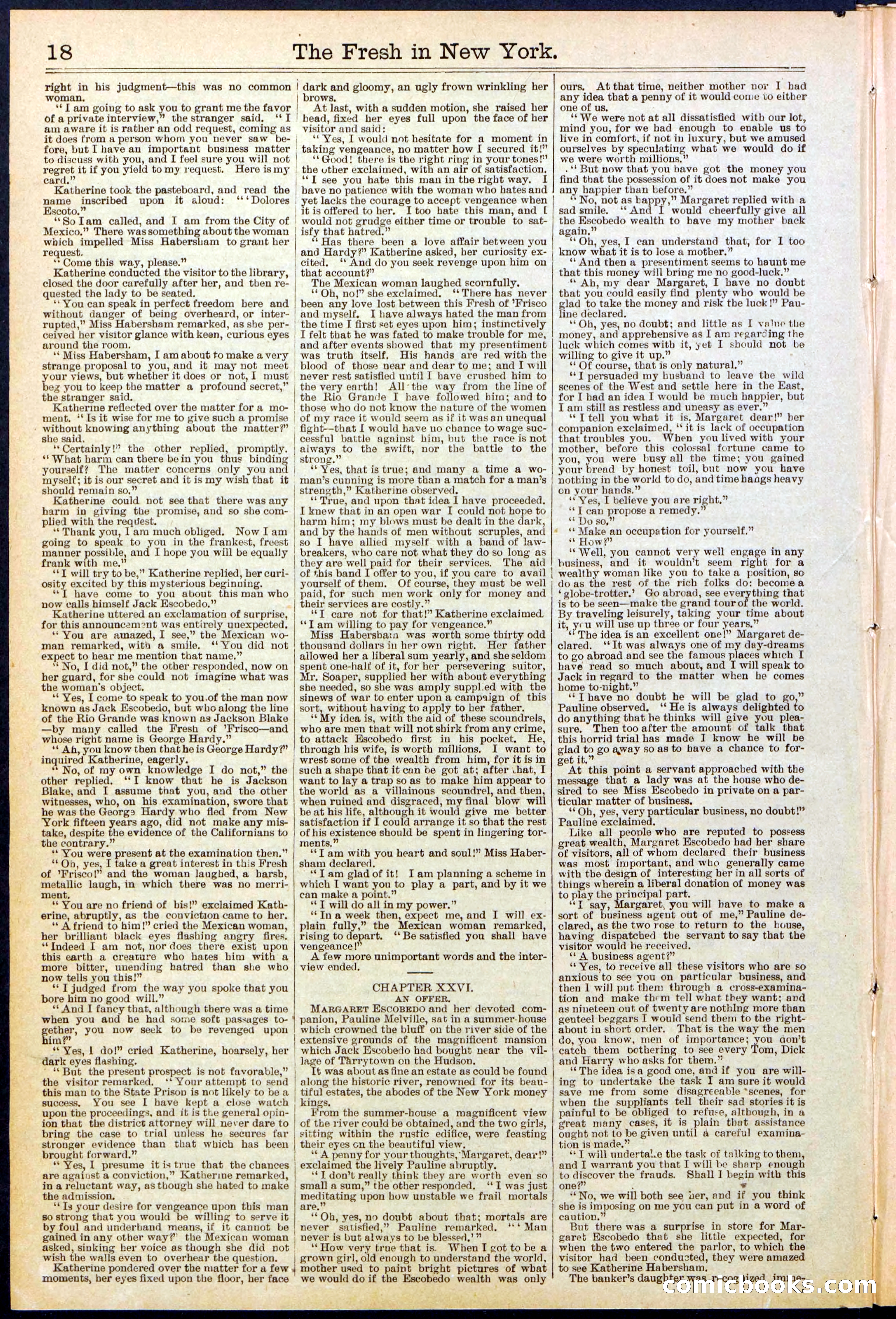 Beadle's New York Dime Library, No. 529 — page 18 of 32