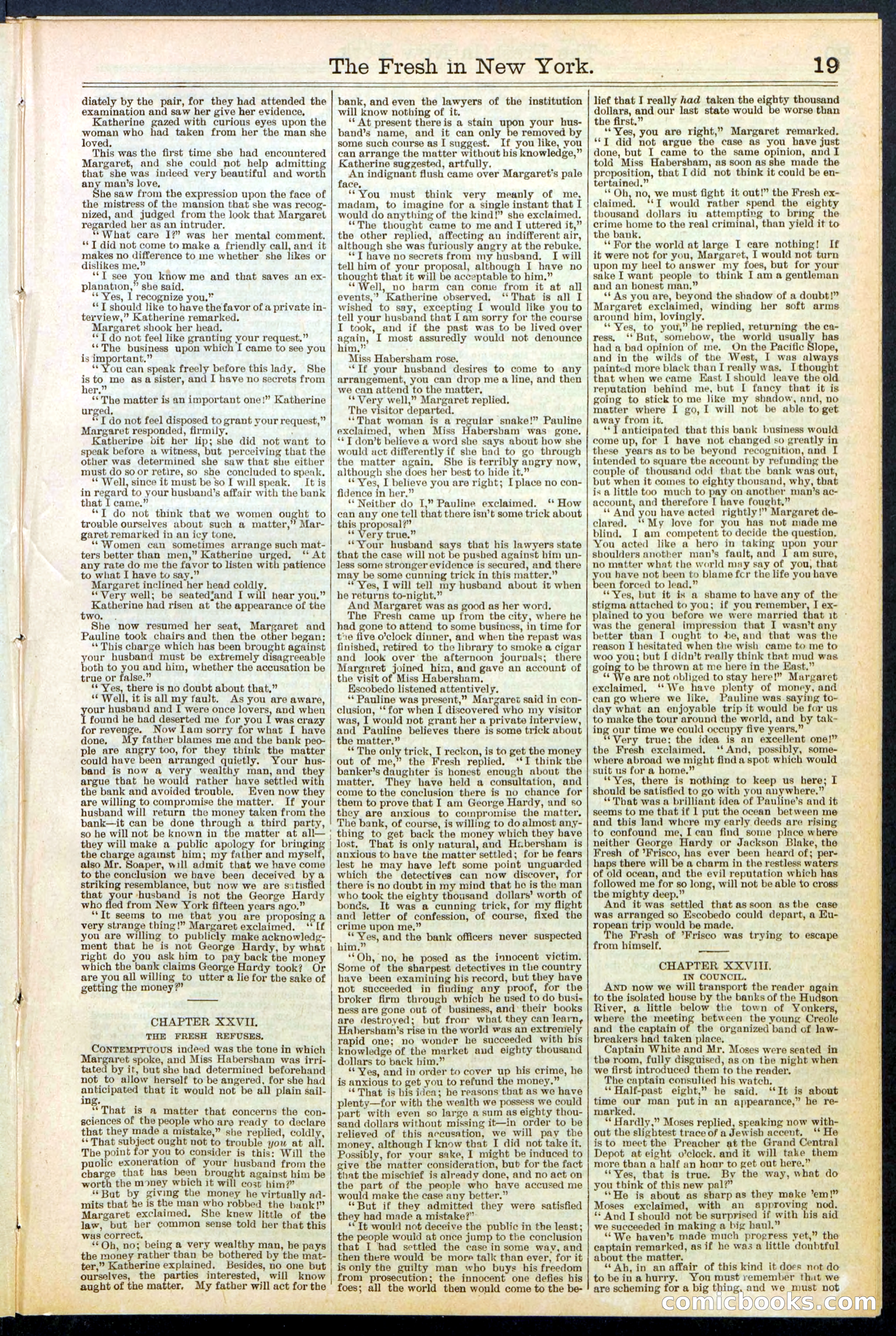 Beadle's New York Dime Library, No. 529 — page 19 of 32