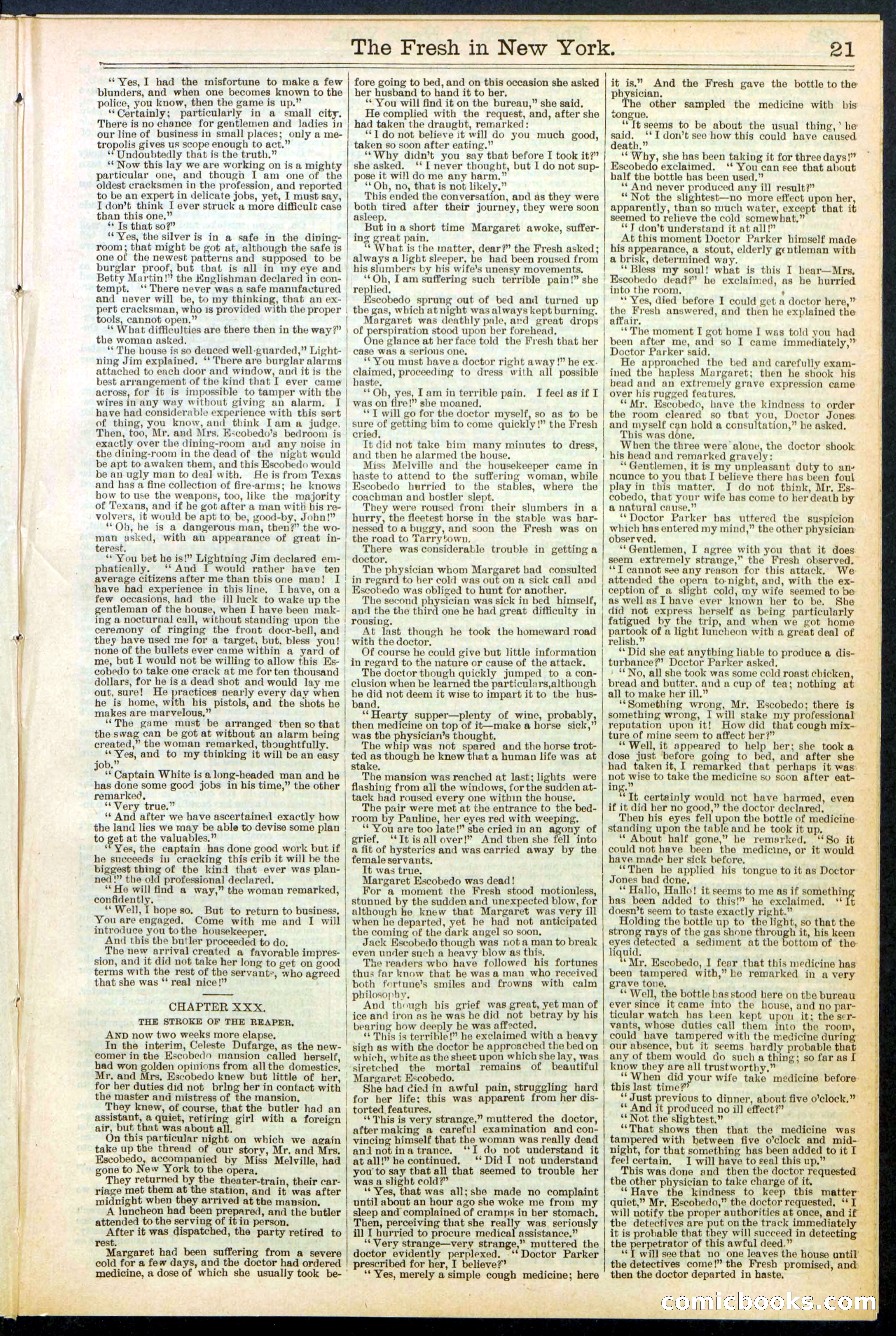 Beadle's New York Dime Library, No. 529 — page 21 of 32