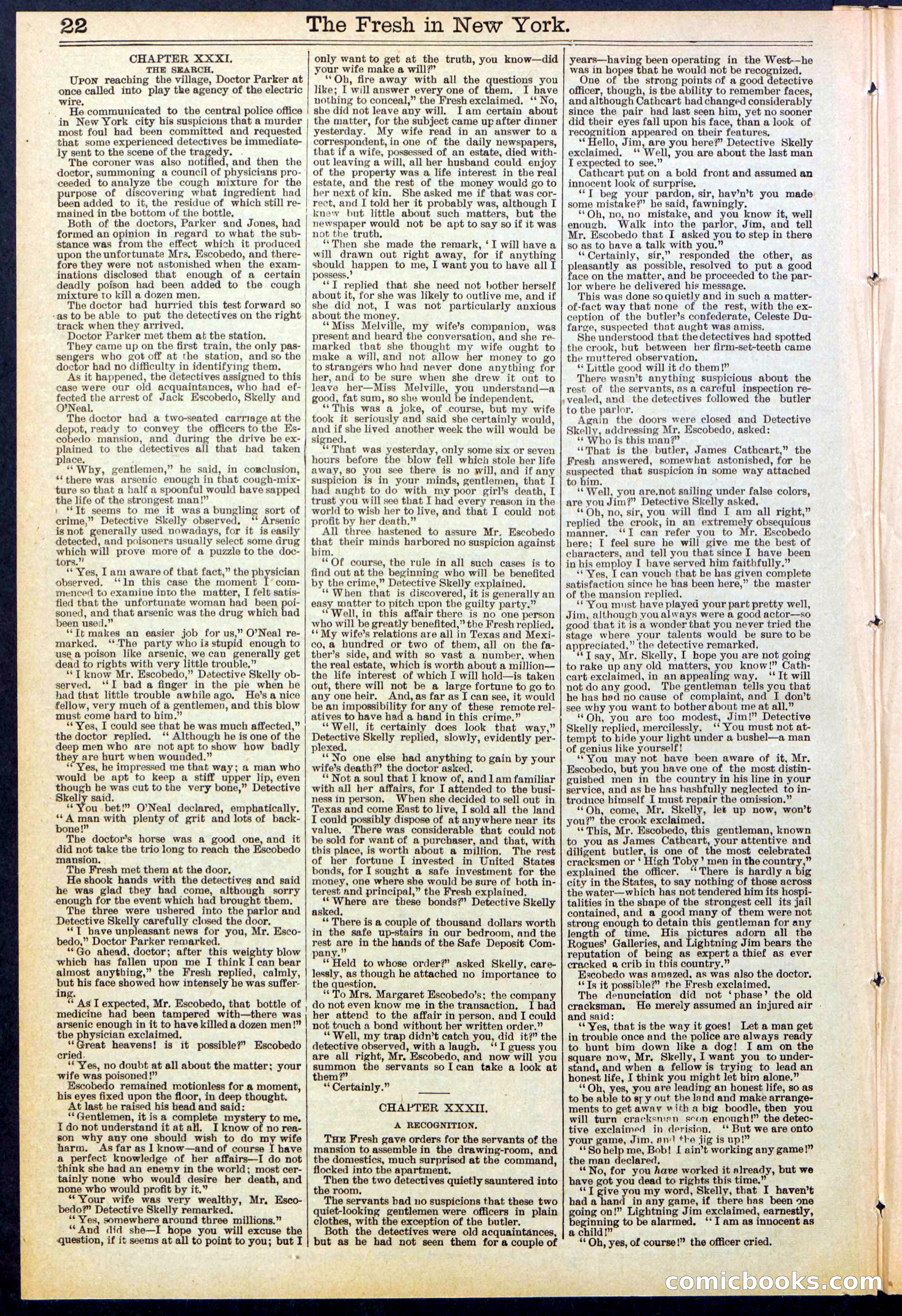 Beadle's New York Dime Library, No. 529 — page 22 of 32