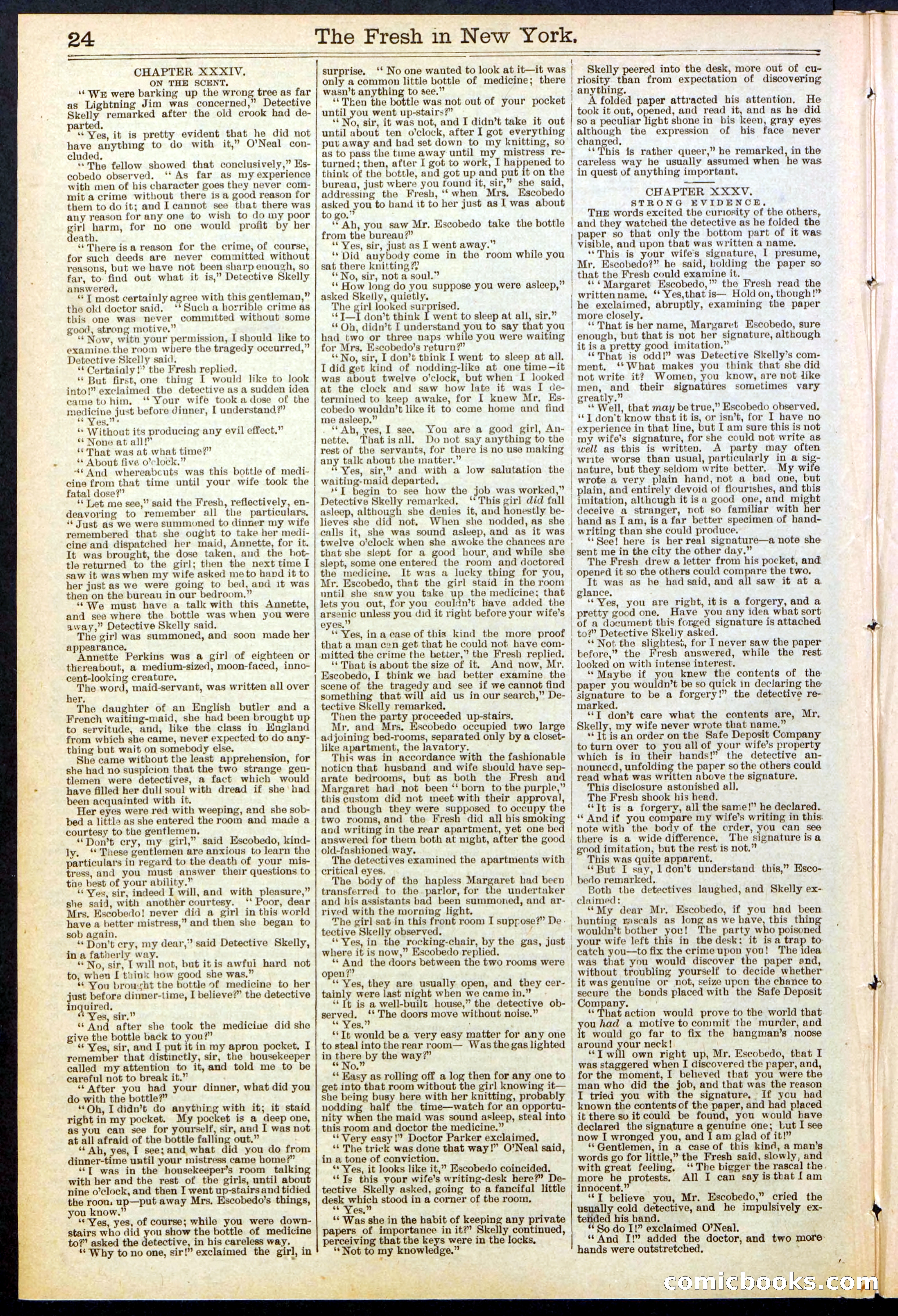 Beadle's New York Dime Library, No. 529 — page 24 of 32
