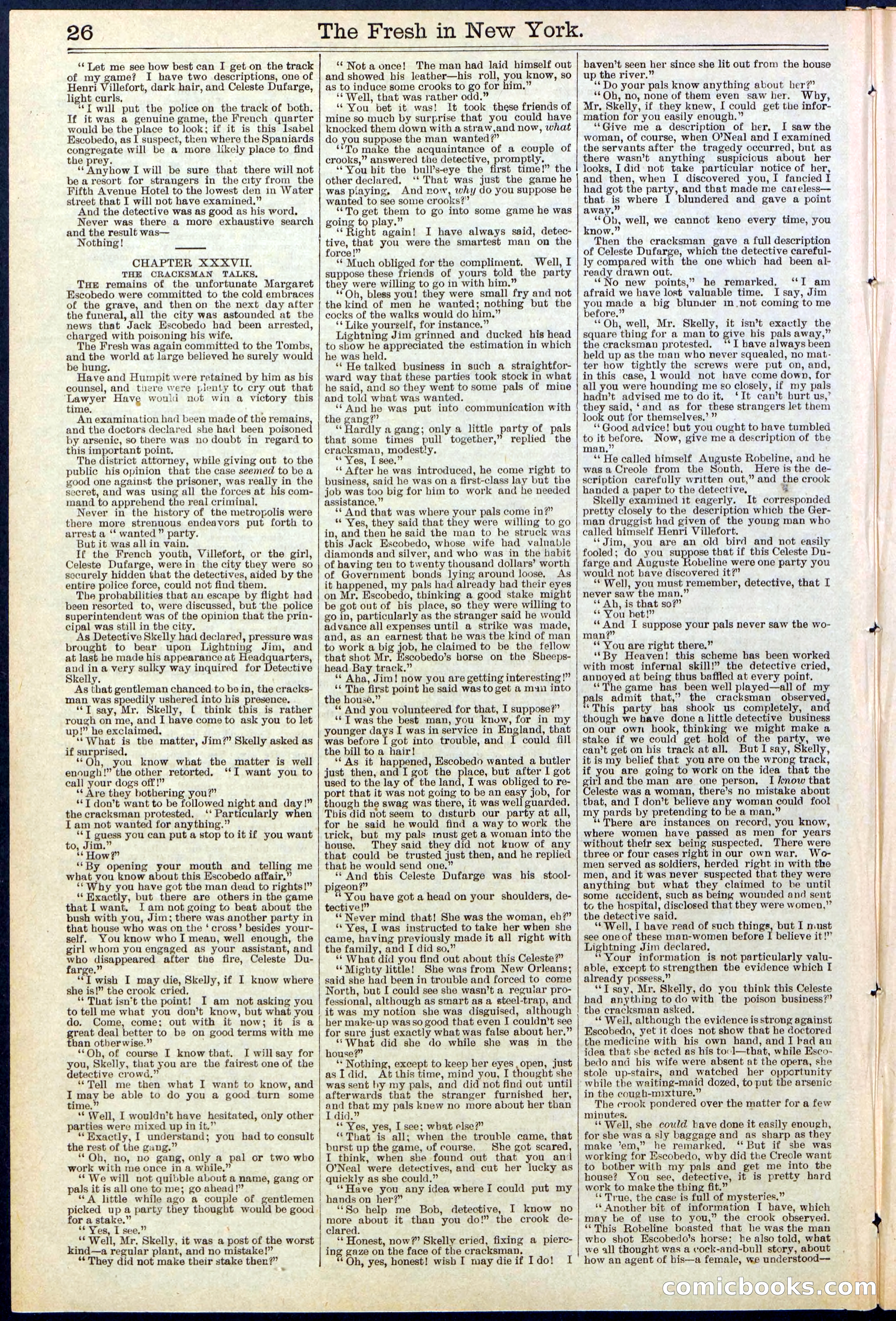 Beadle's New York Dime Library, No. 529 — page 26 of 32