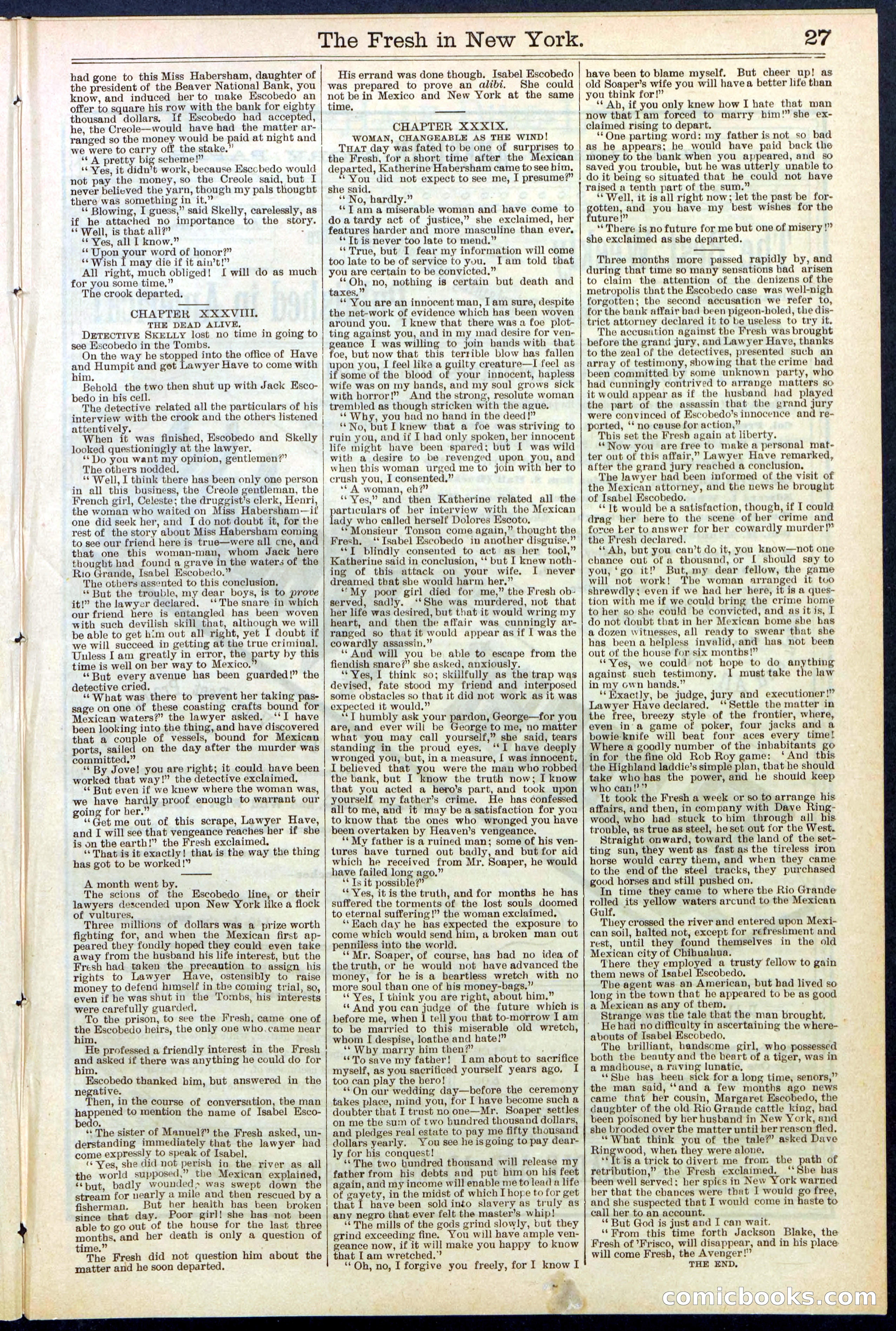 Beadle's New York Dime Library, No. 529 — page 27 of 32