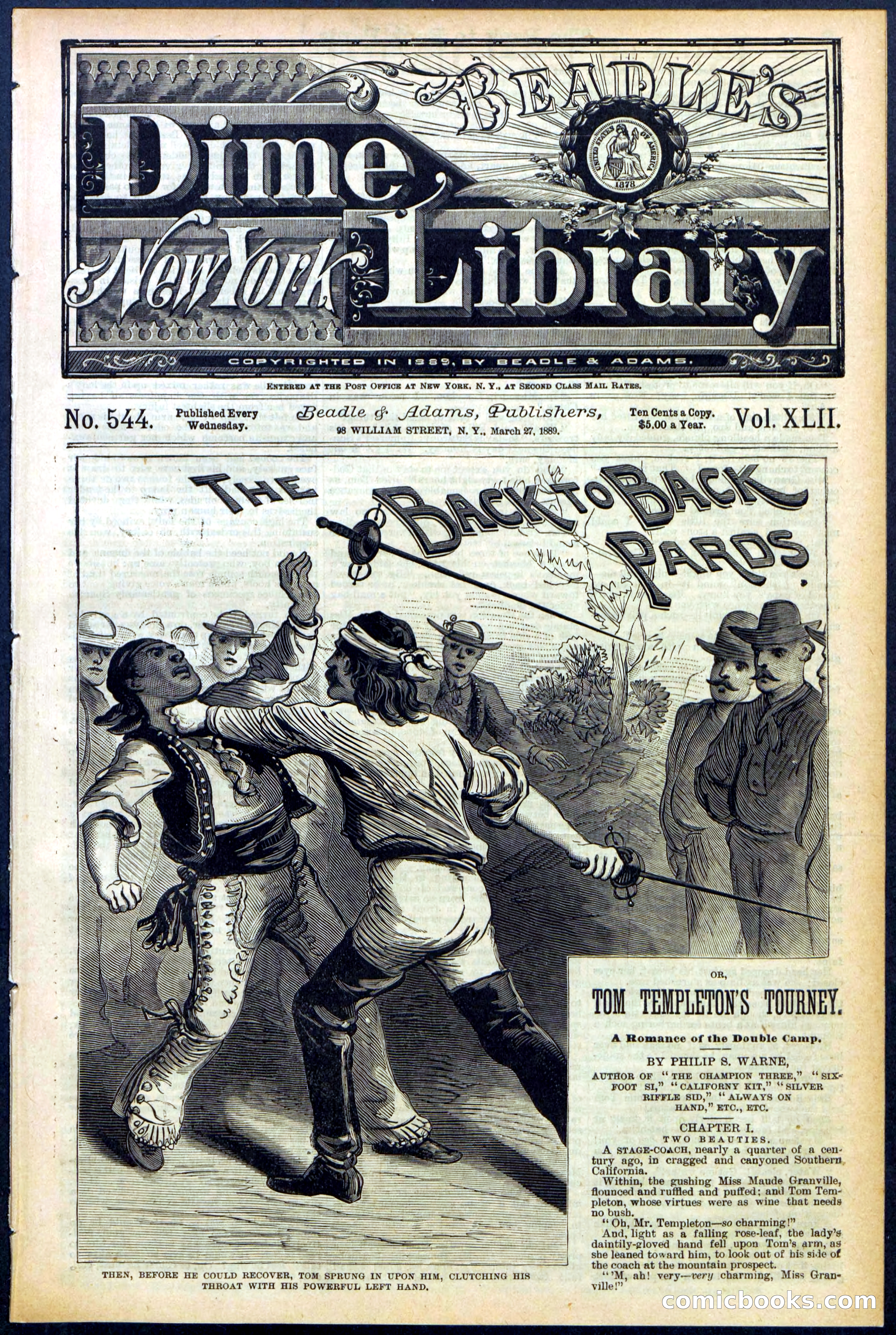 Beadle's New York Dime Library No. 544 — page 1 of 32
