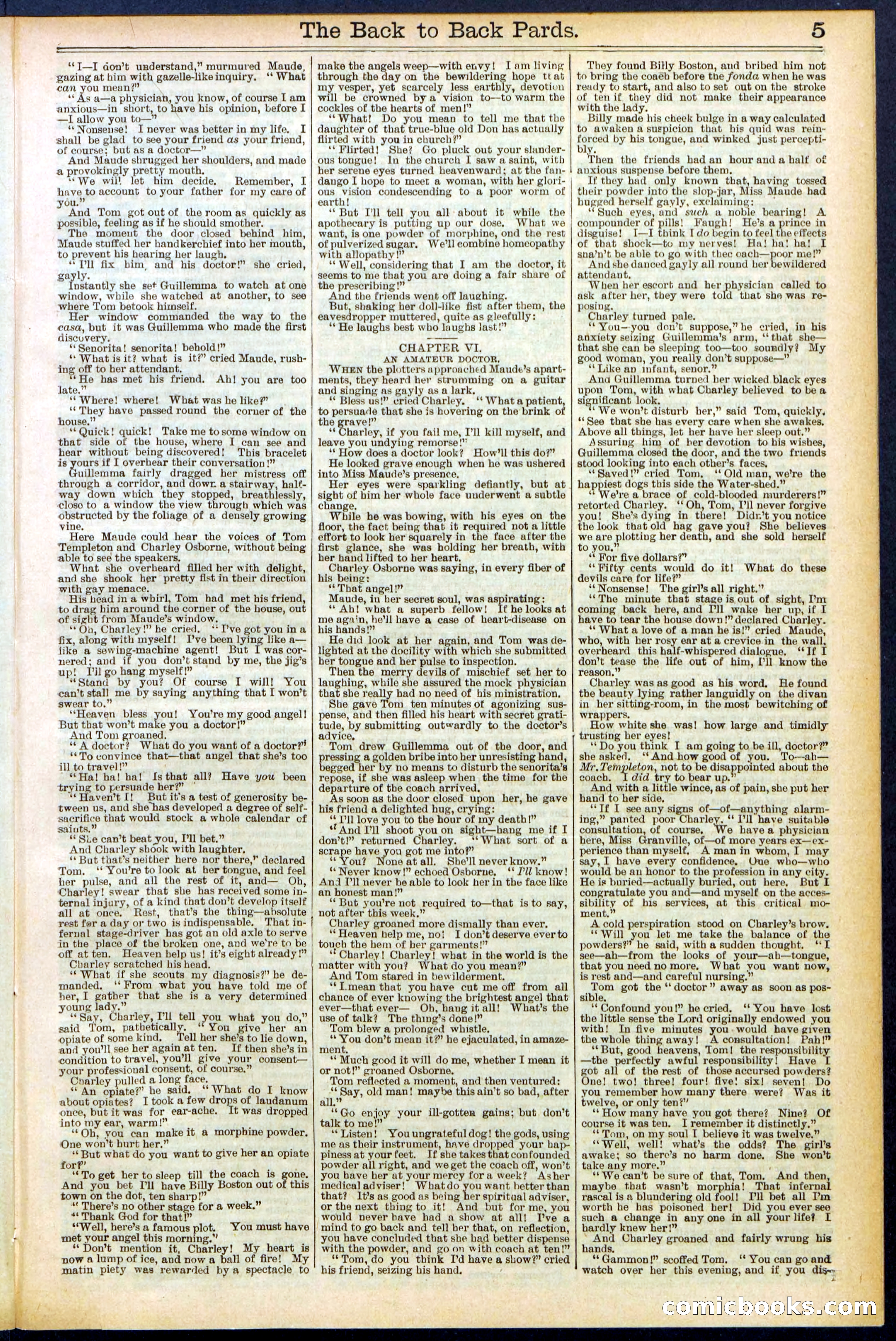 Beadle's New York Dime Library No. 544 — page 5 of 32